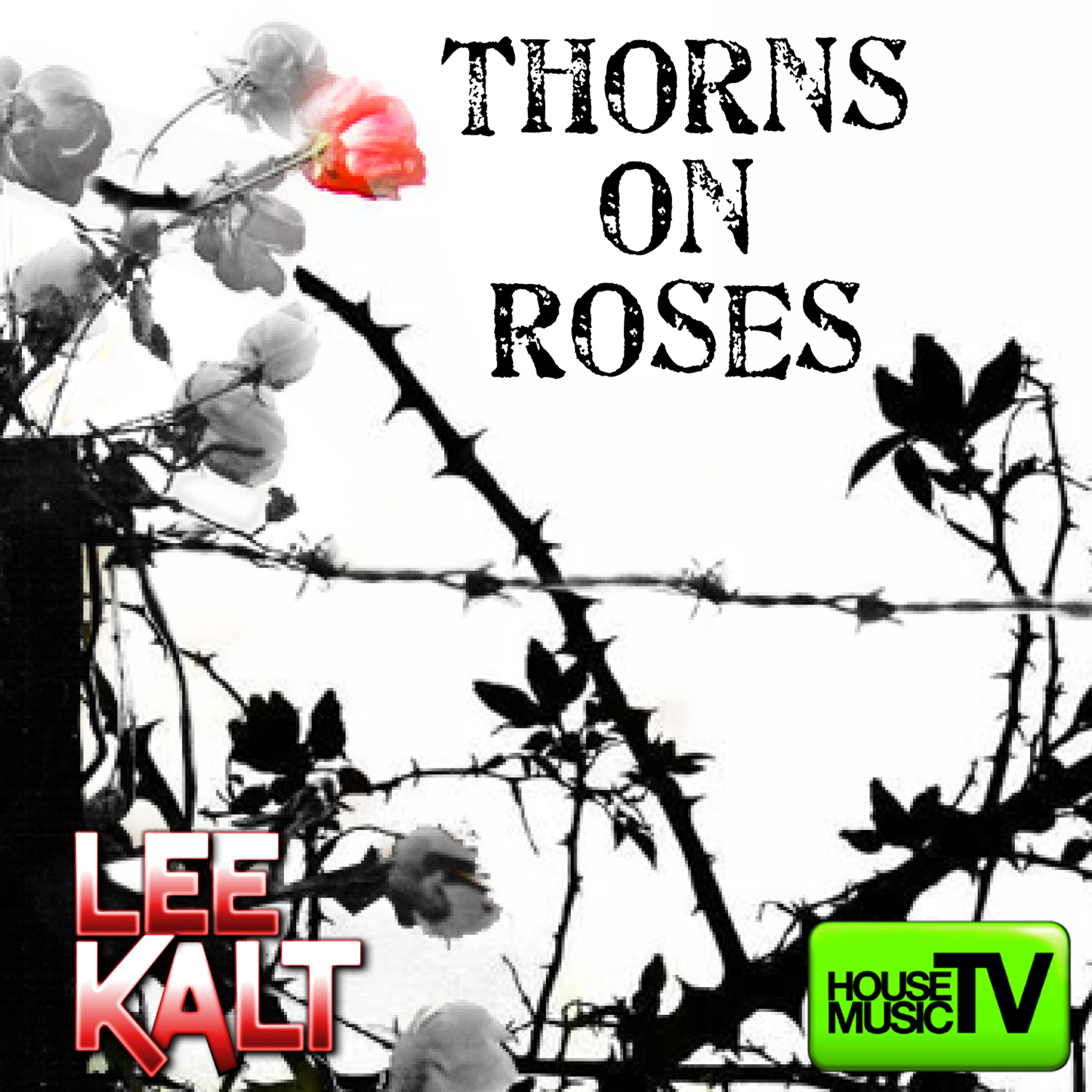 Релиз Thorns On Roses