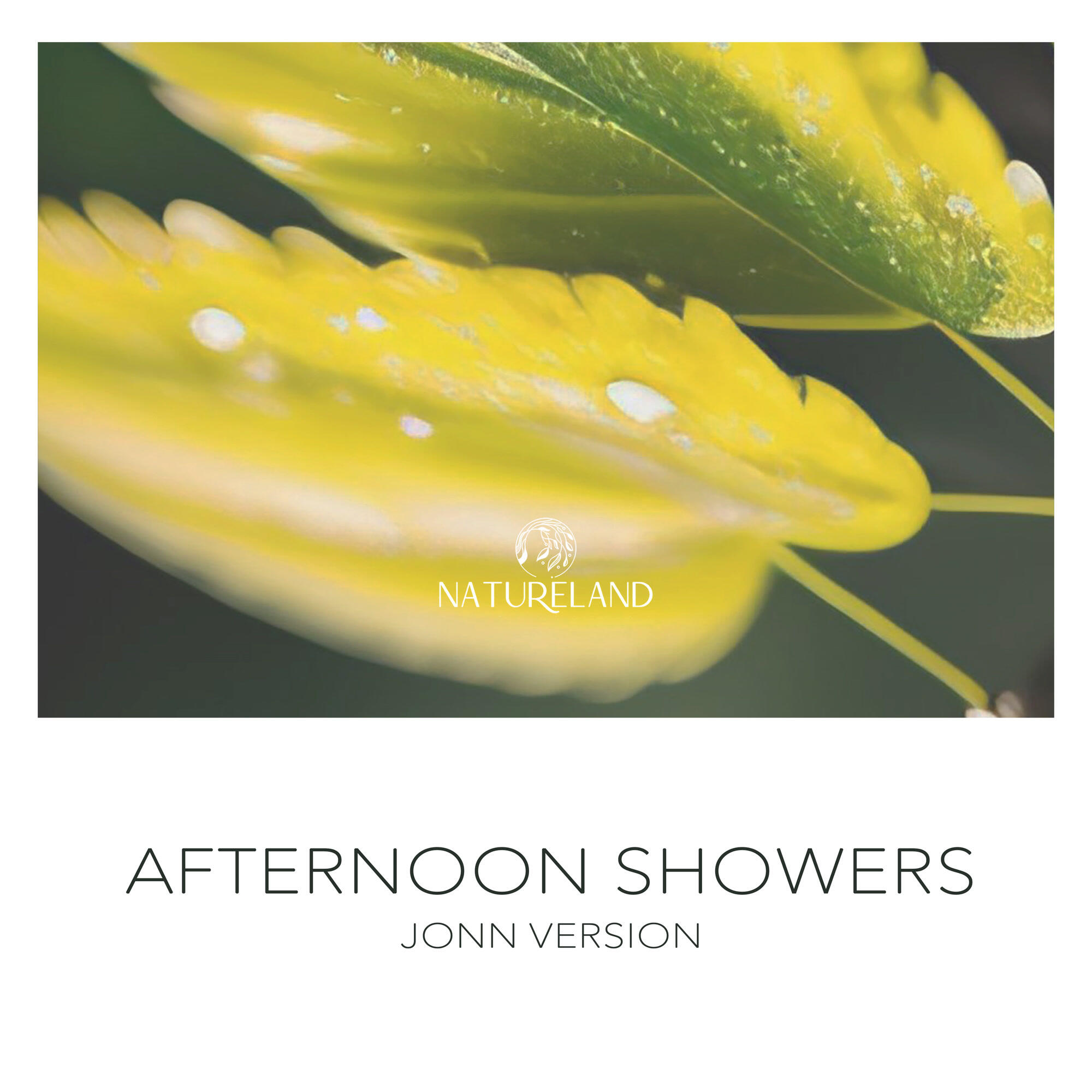 Релиз Afternoon Showers (Jonn Version)