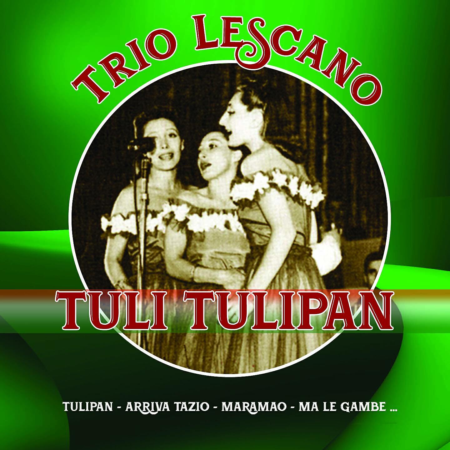 Релиз Tuli tulipan