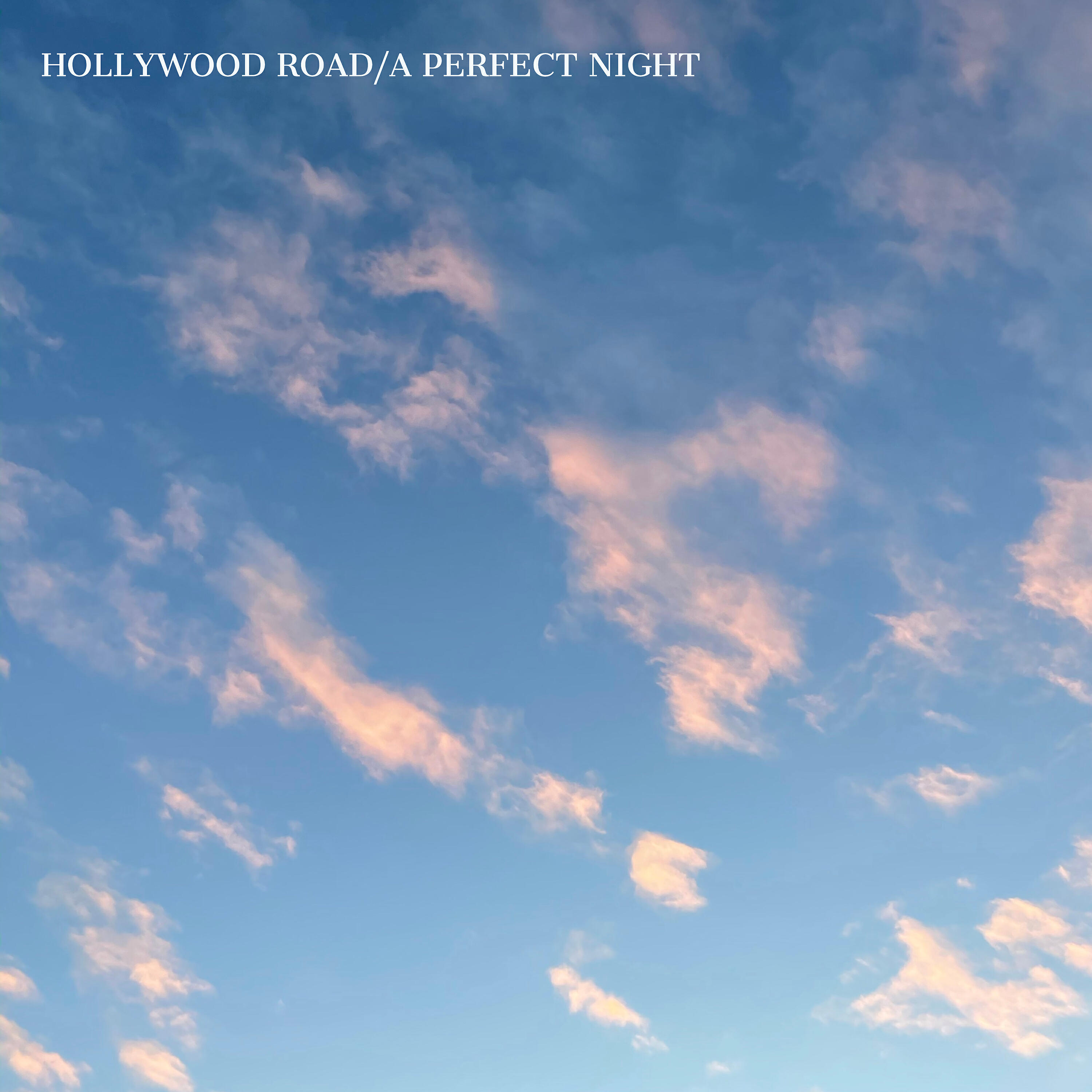Релиз A Perfect Night