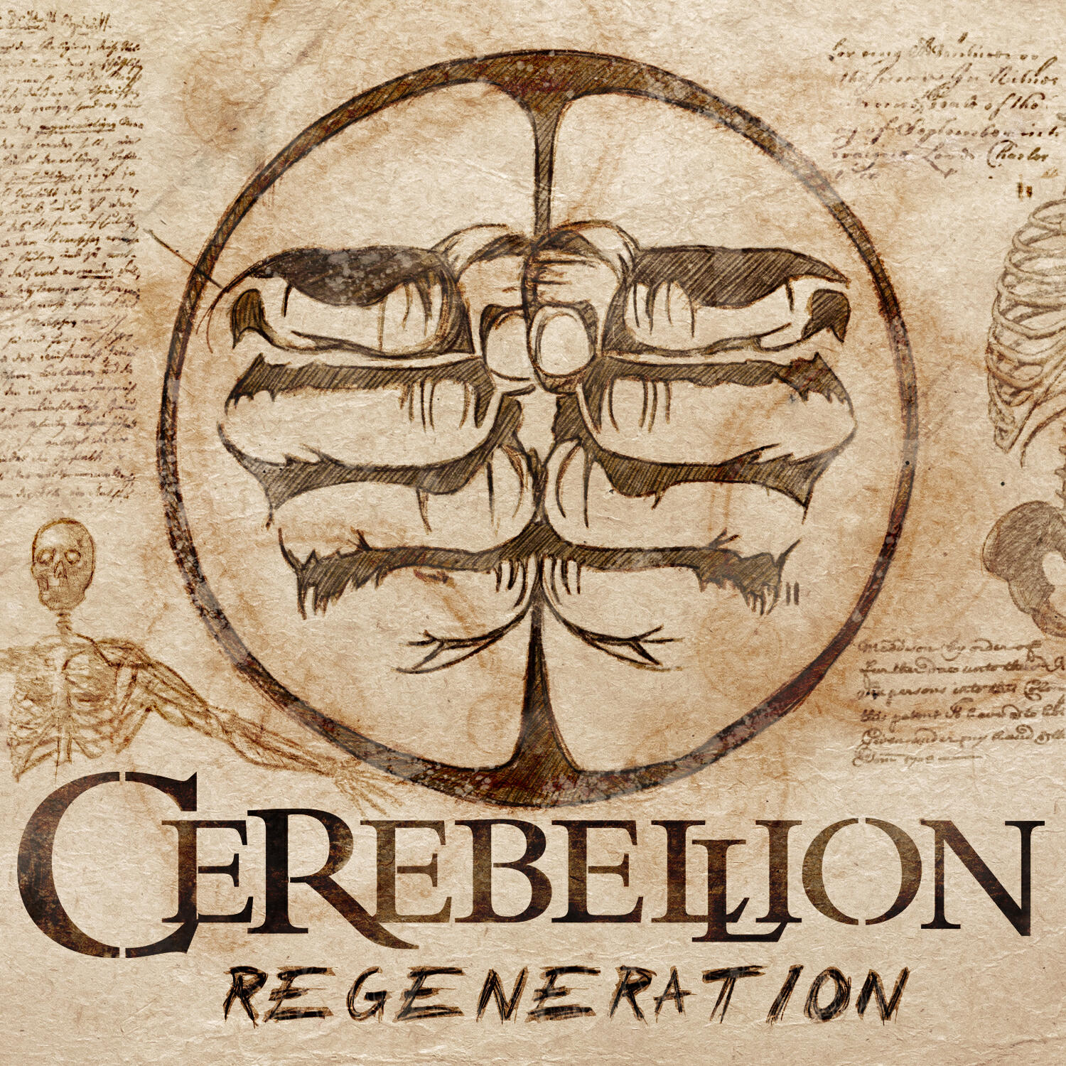 Релиз Regeneration