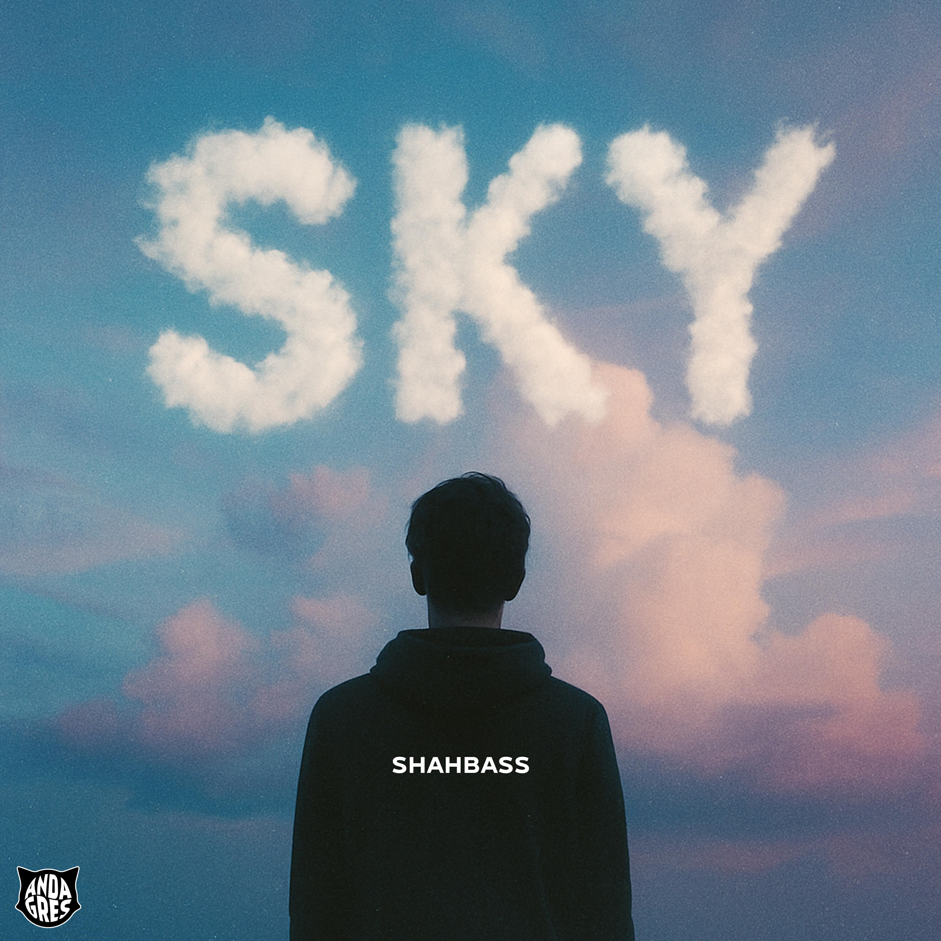 Постер альбома Sky