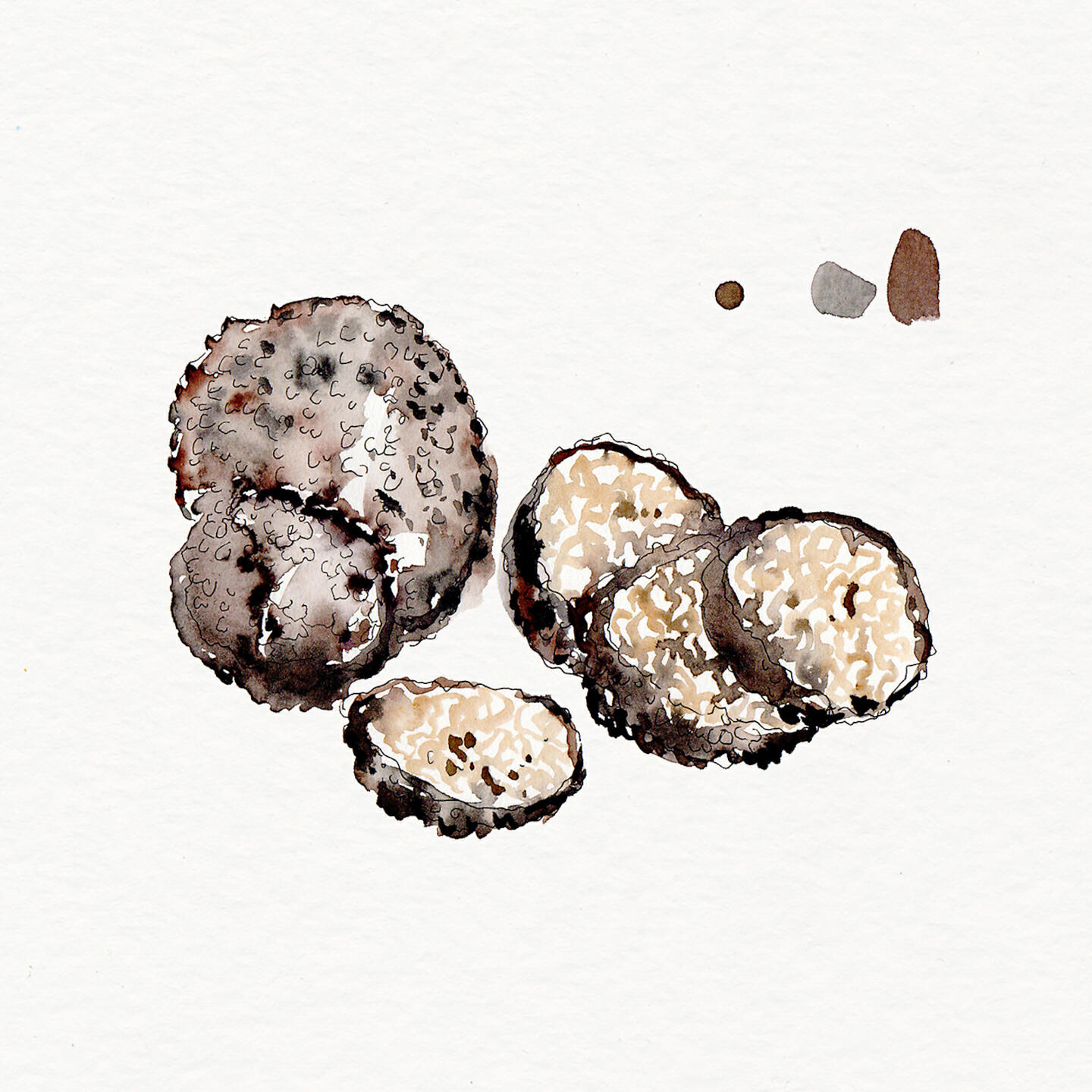 Релиз Tartufo