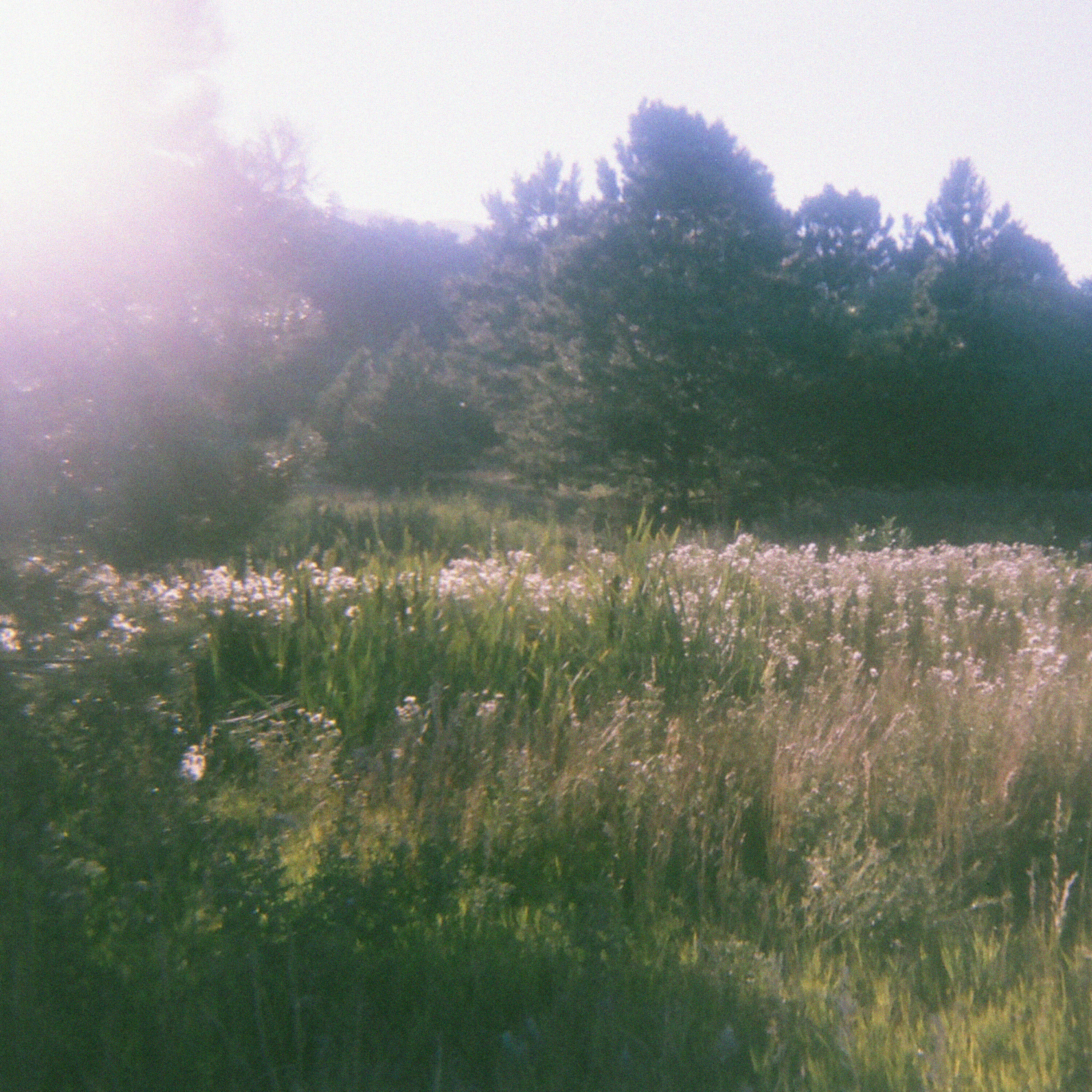 Релиз pocket garden