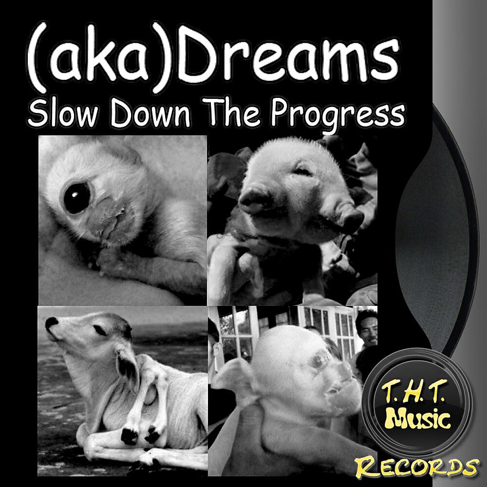 Релиз Slow Down The Progress
