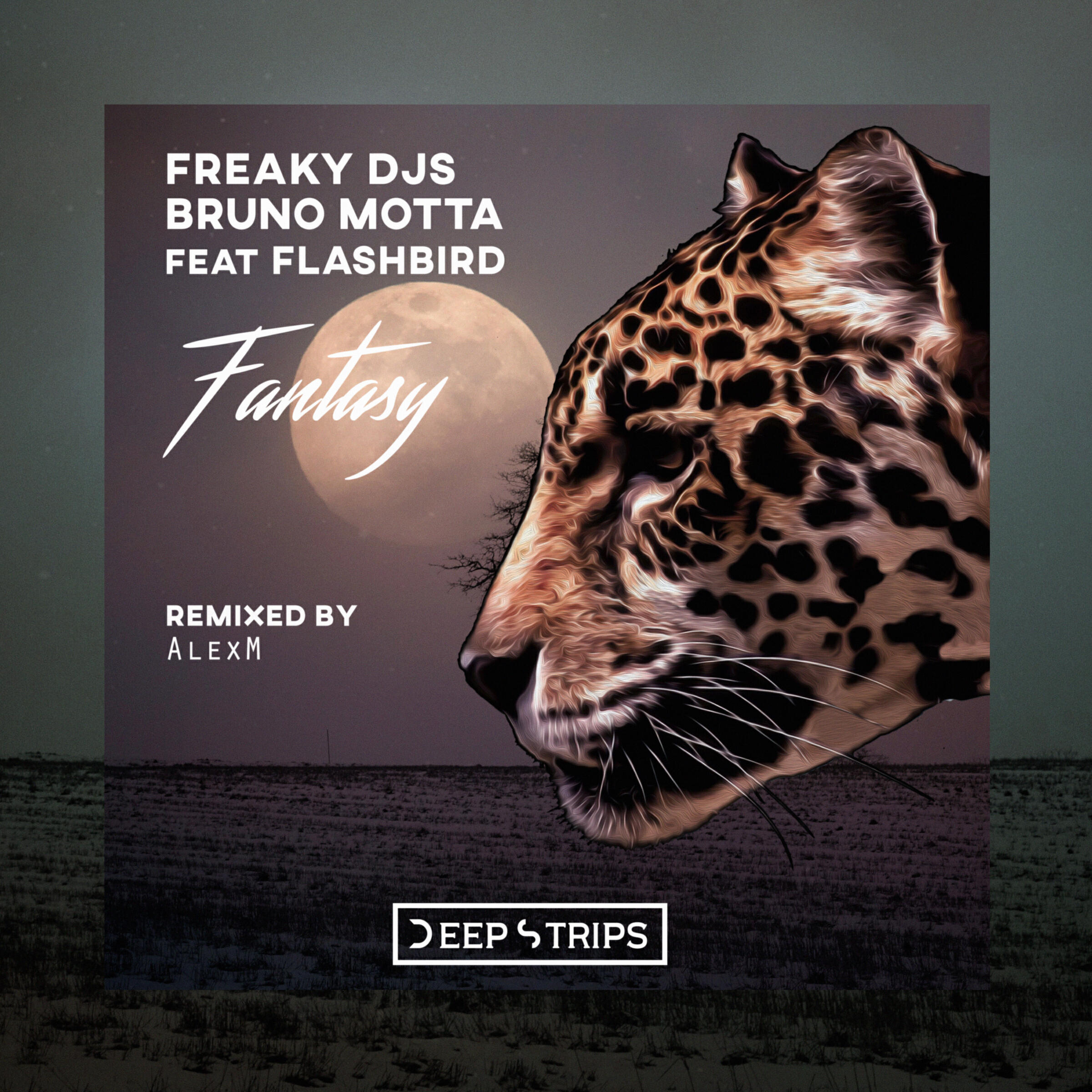 Релиз Fantasy