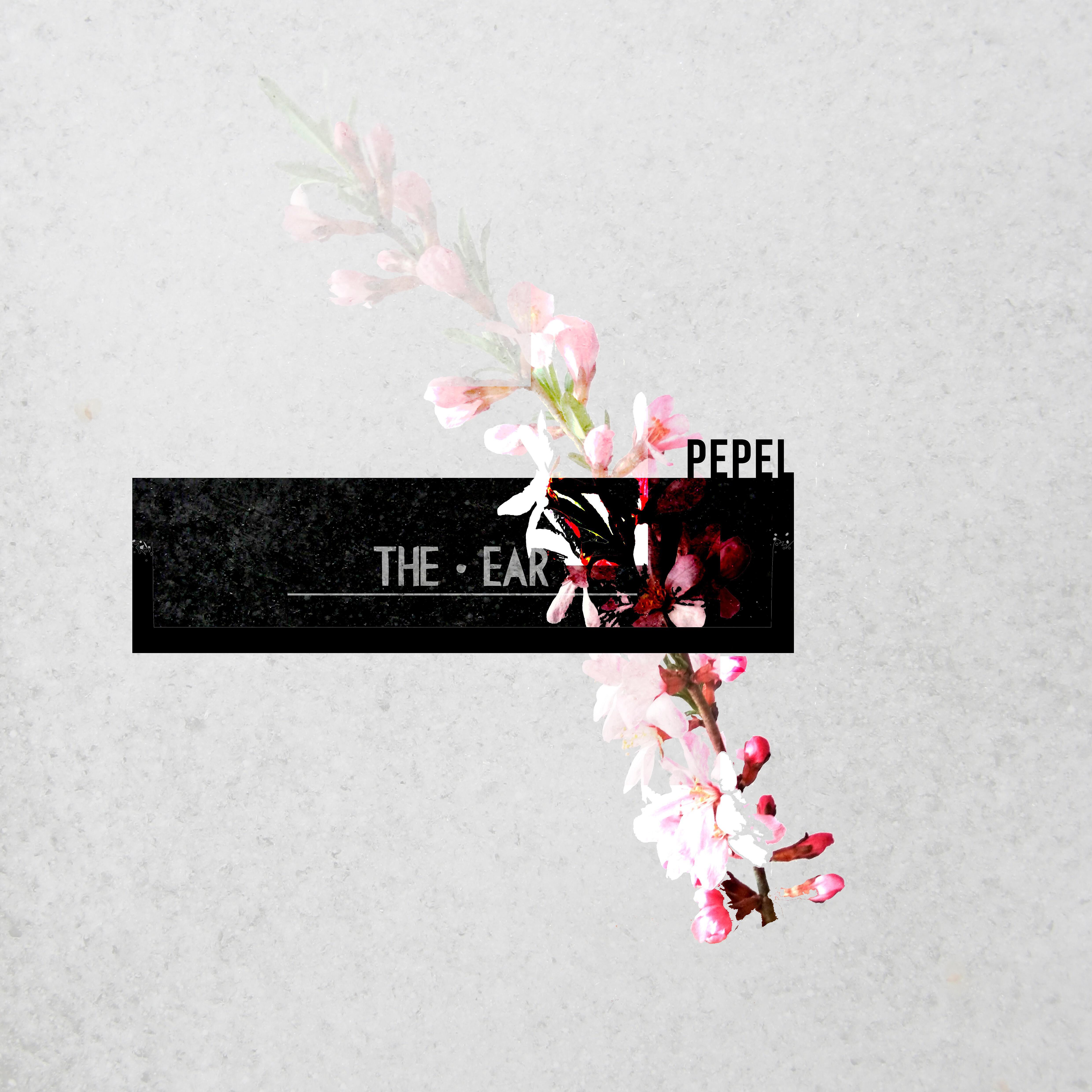 Релиз Pepel