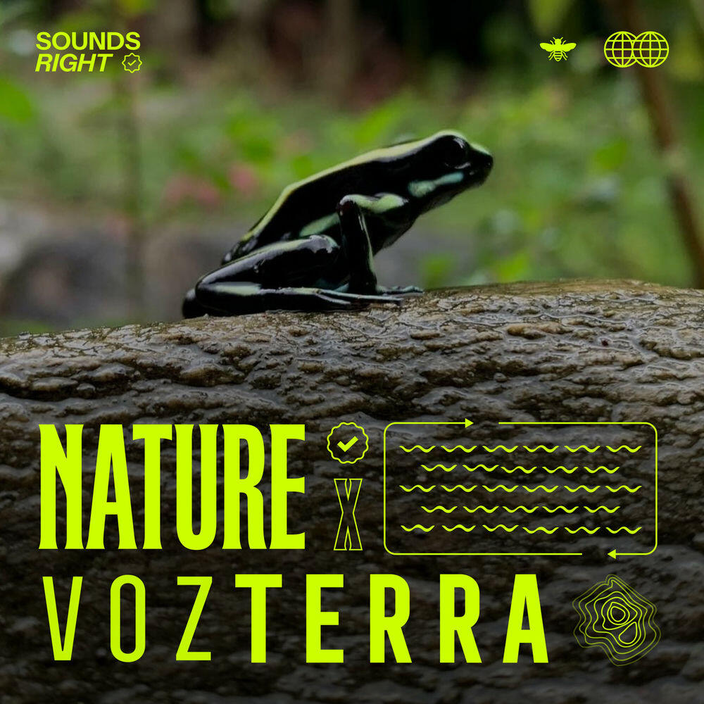 Vozterra