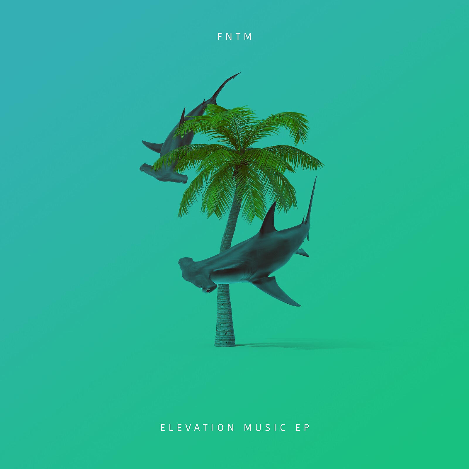 Релиз Elevation Music EP