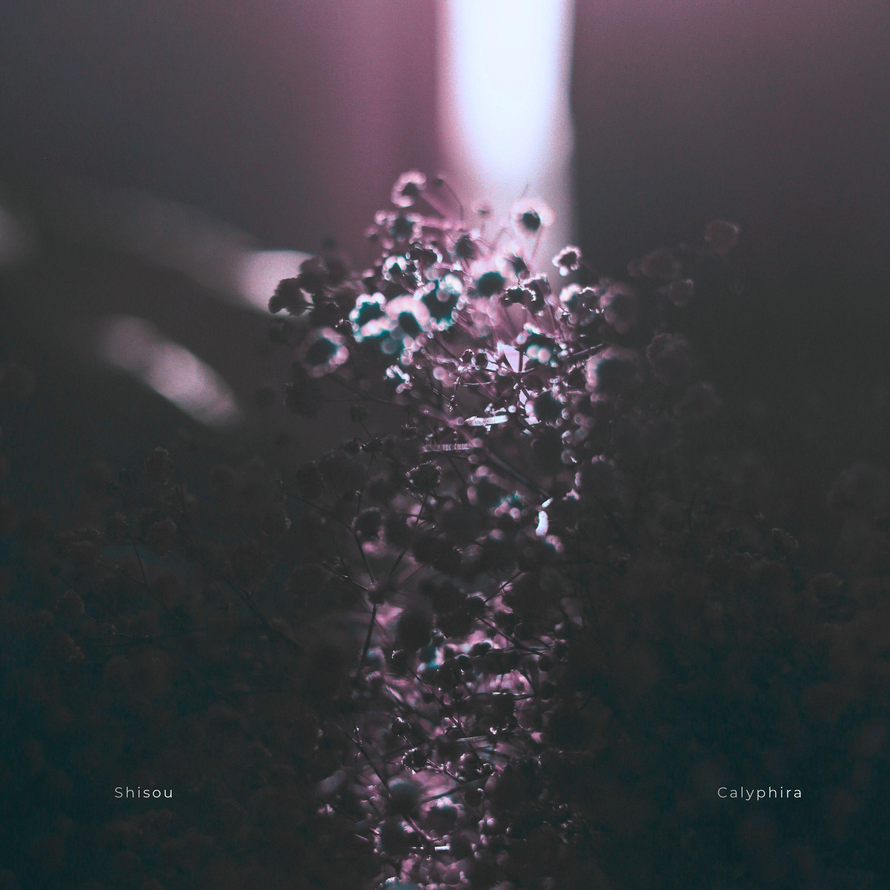 Релиз Calyphira