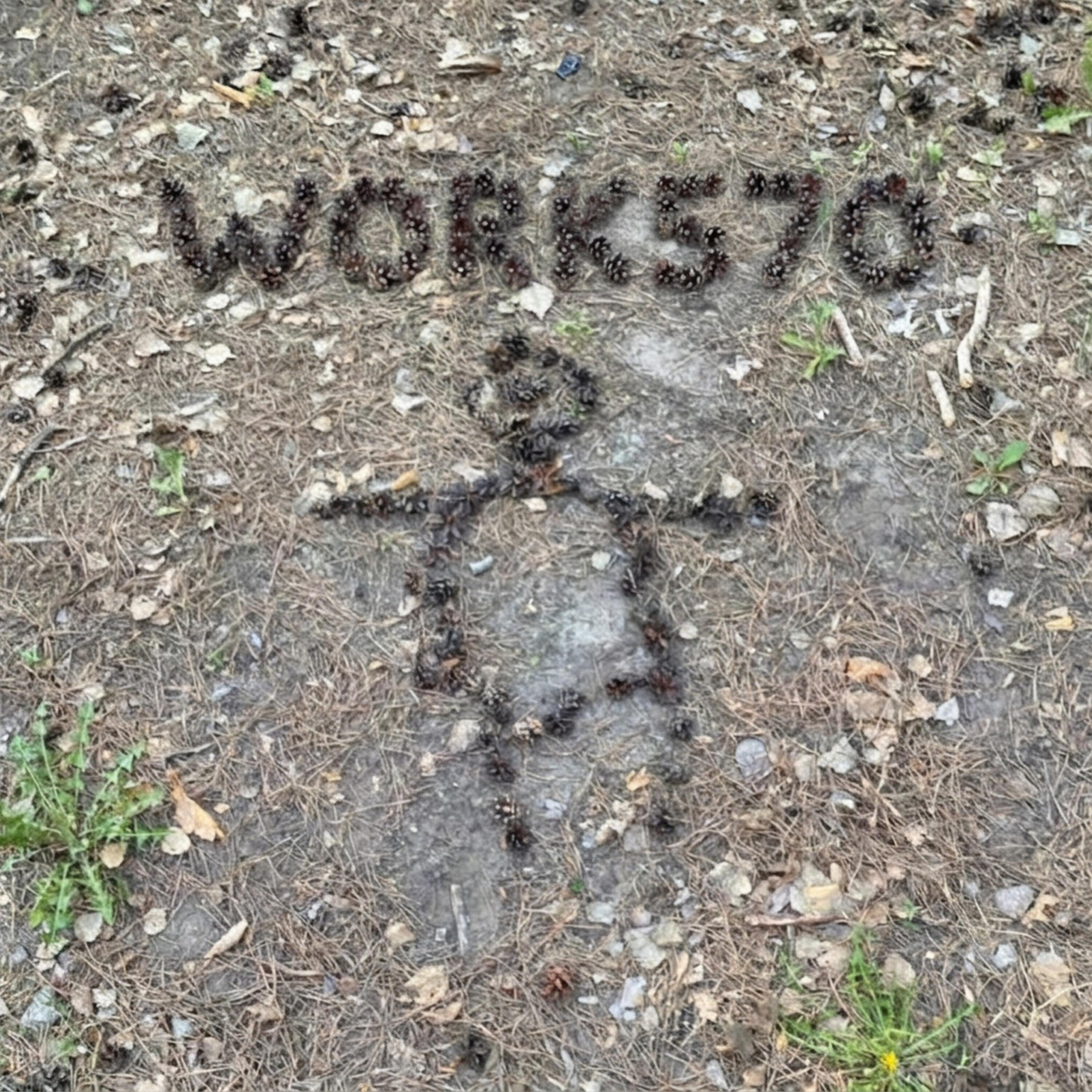 Релиз WORK570