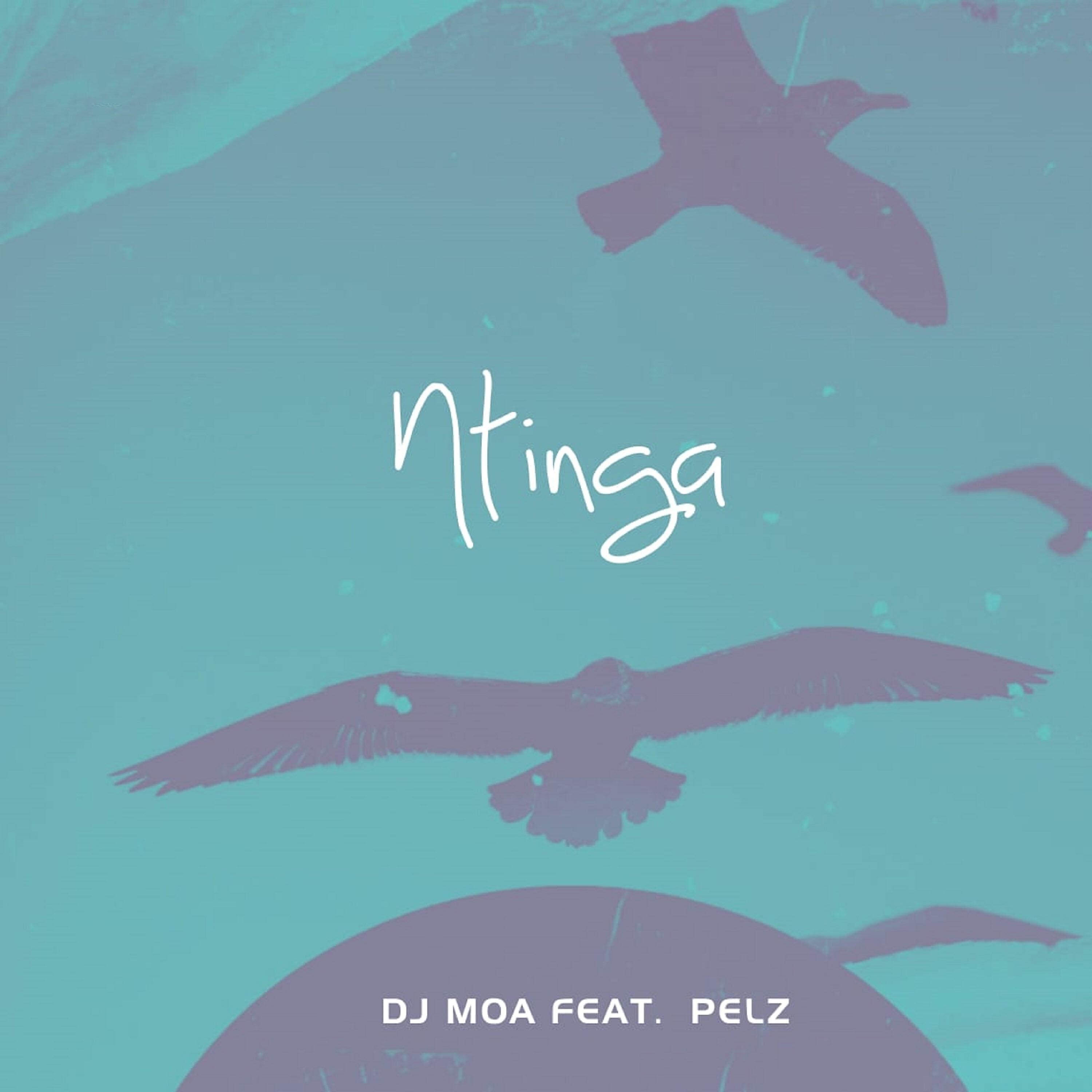 Релиз Ntinga
