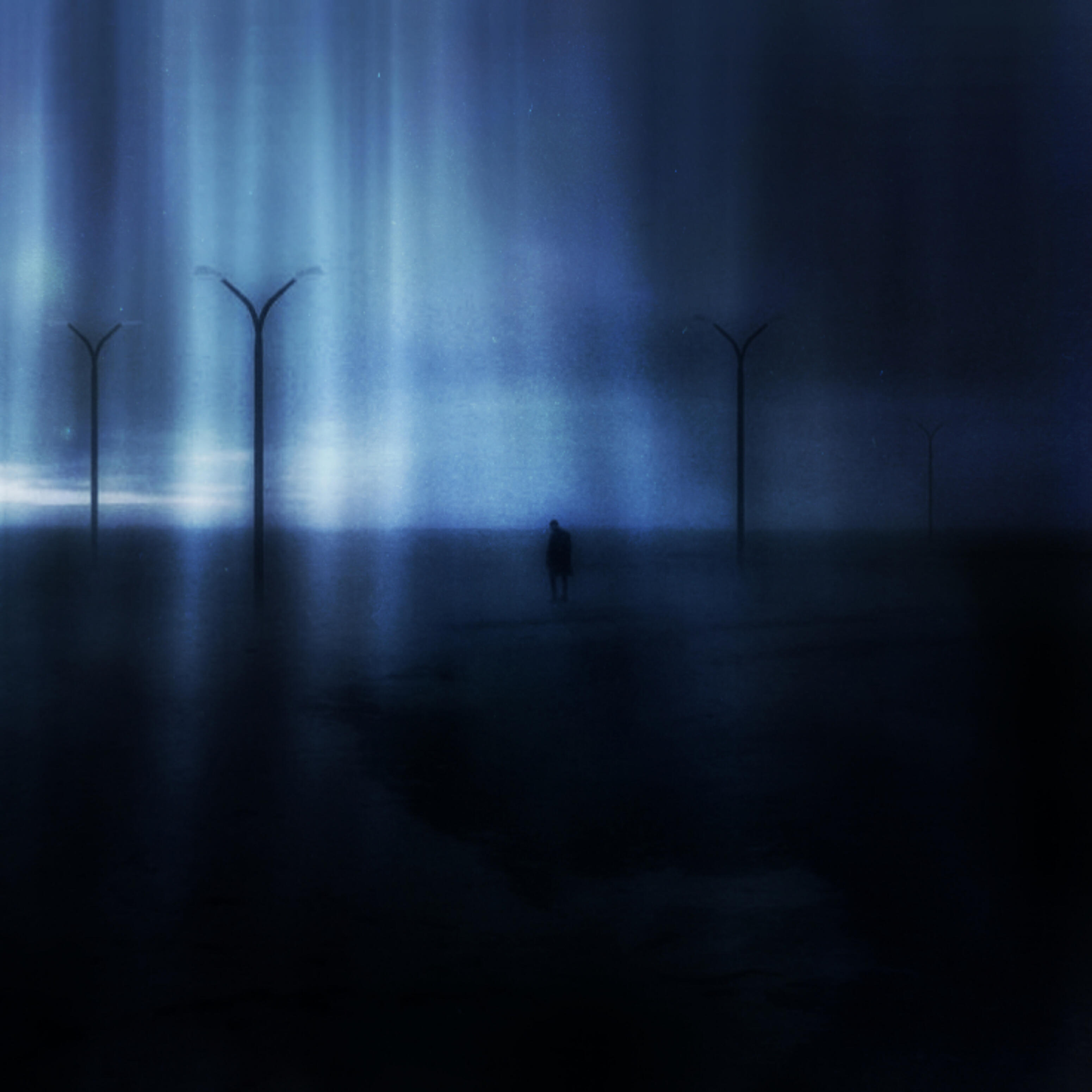 Релиз The Night Sky