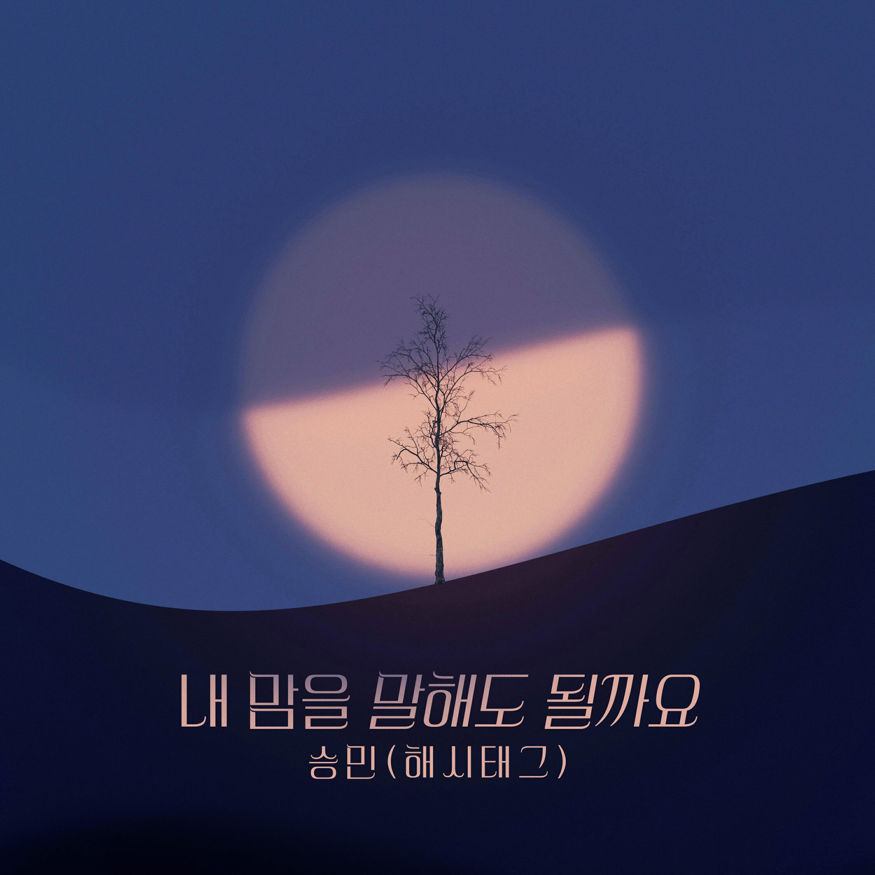 Релиз 수지맞은 우리 (Original Television Soundtrack), Pt. 4