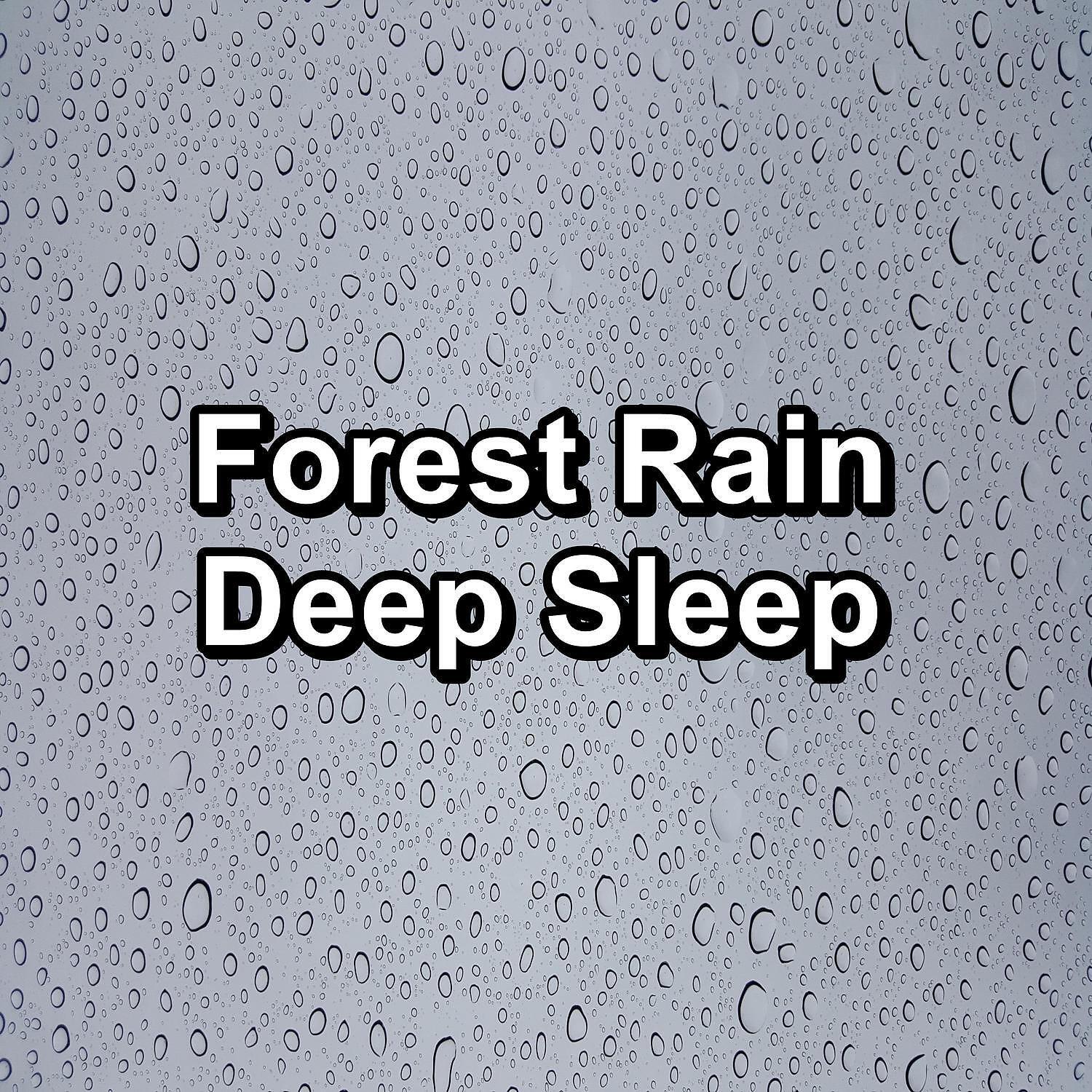 Релиз Forest Rain Deep Sleep
