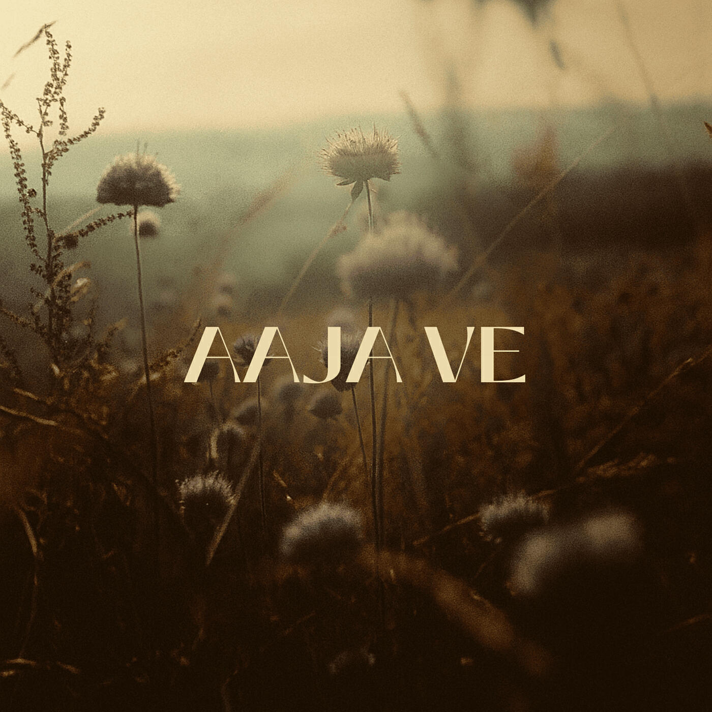 Релиз Aaja Ve