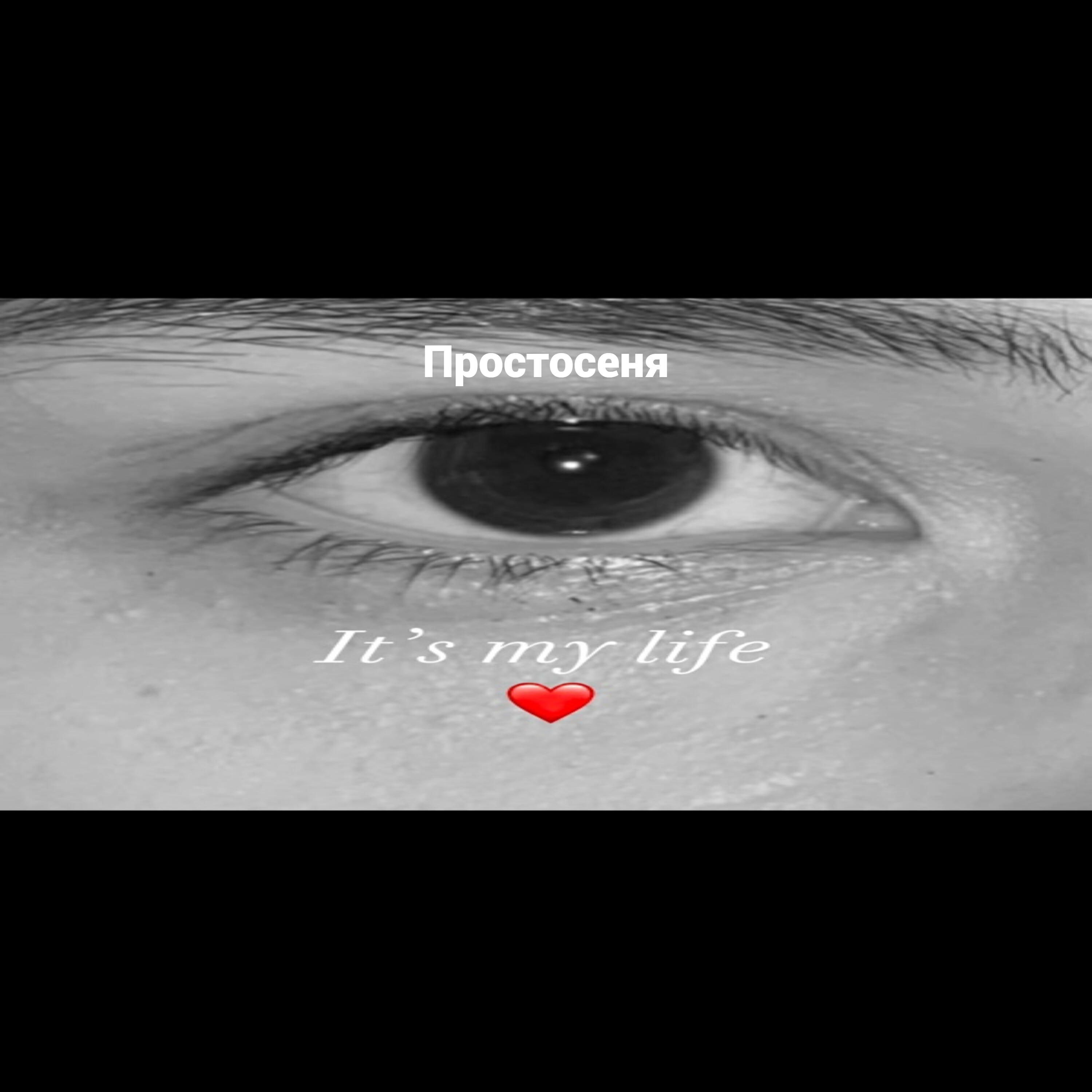 Релиз It’s My Life