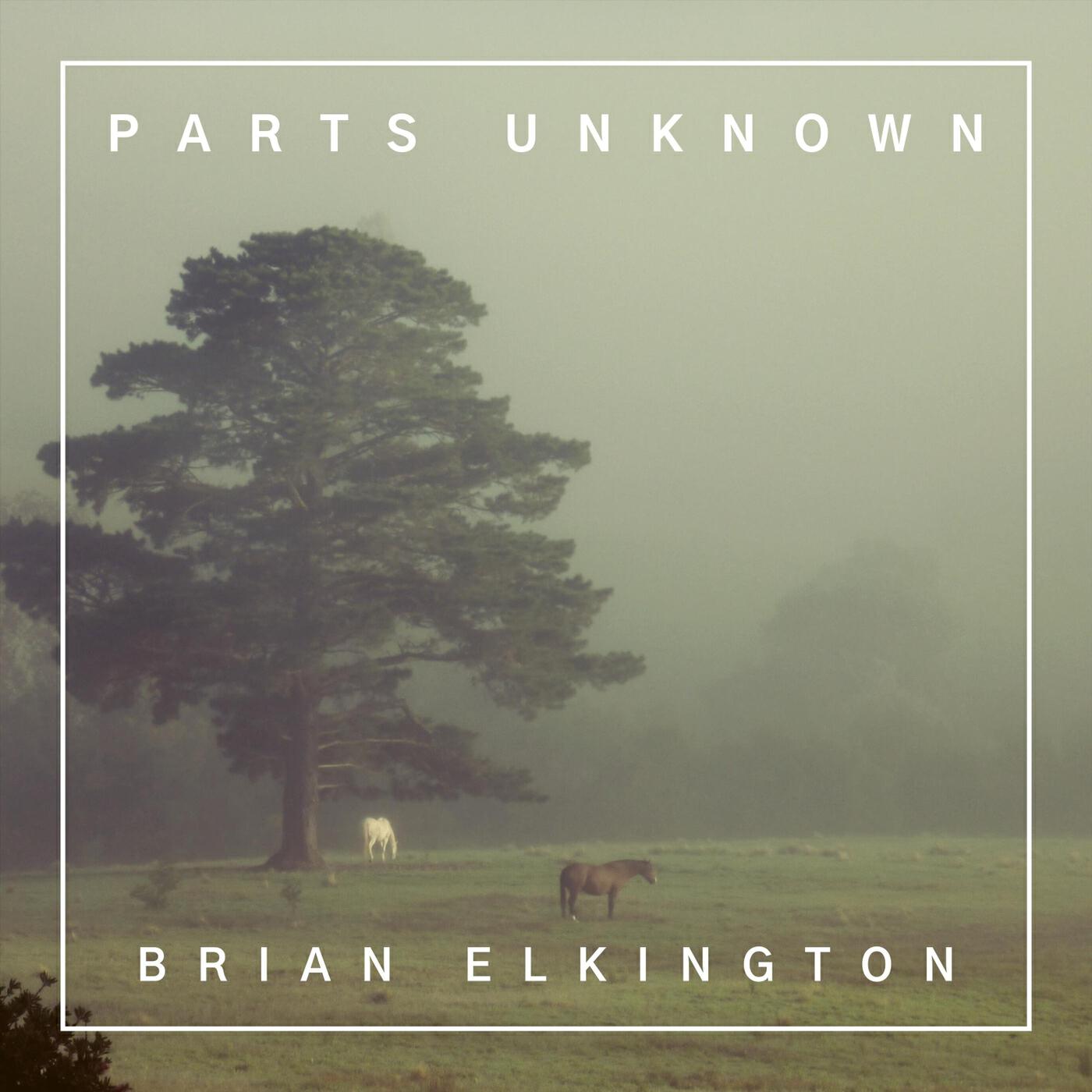 Brian Elkington