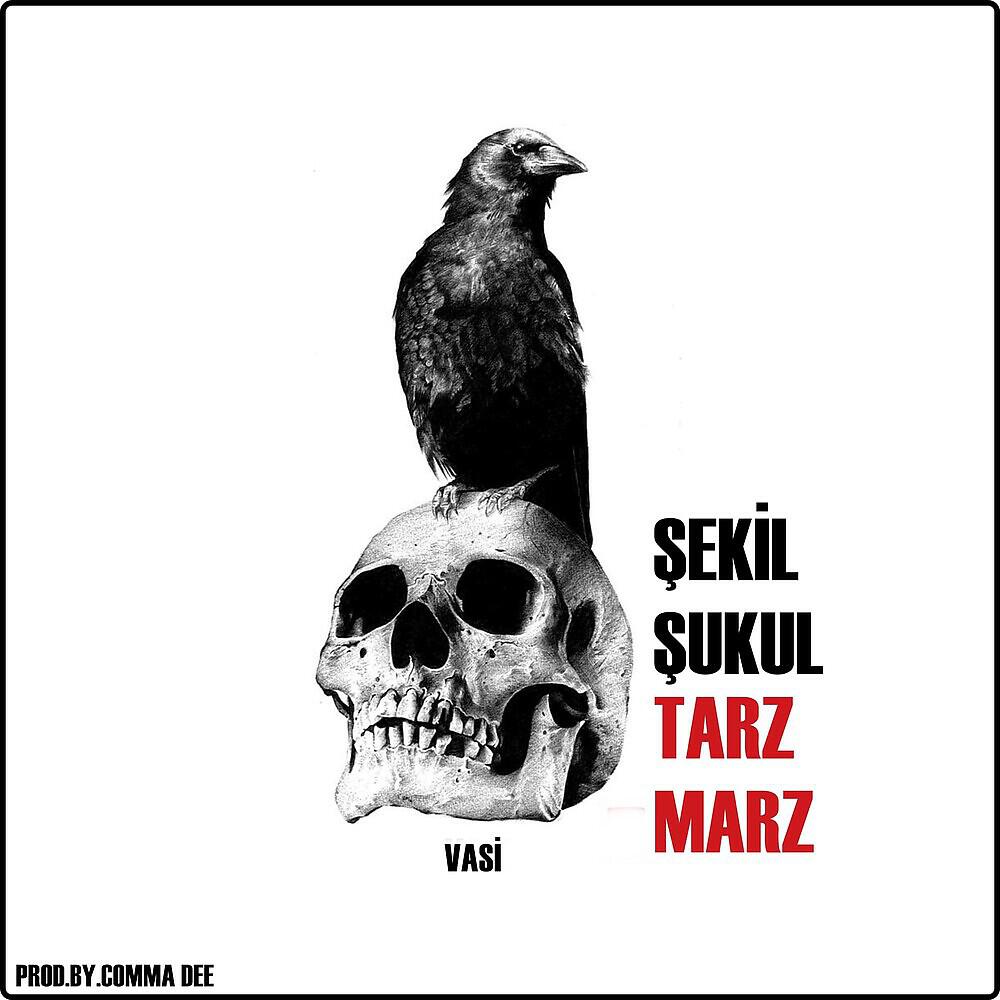 Релиз Şekil Şukul Tarz Marz