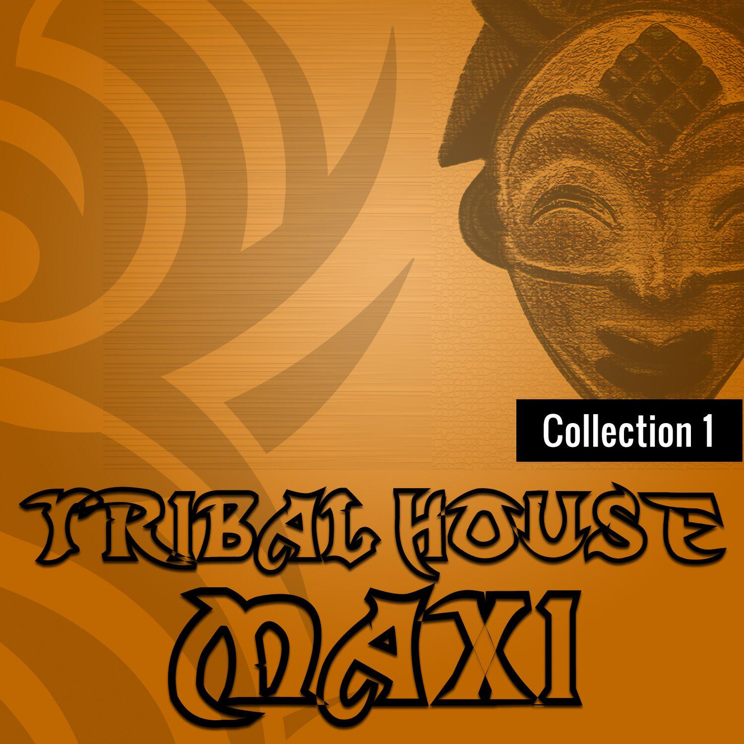 Релиз Tribal House Maxi - Collection 1