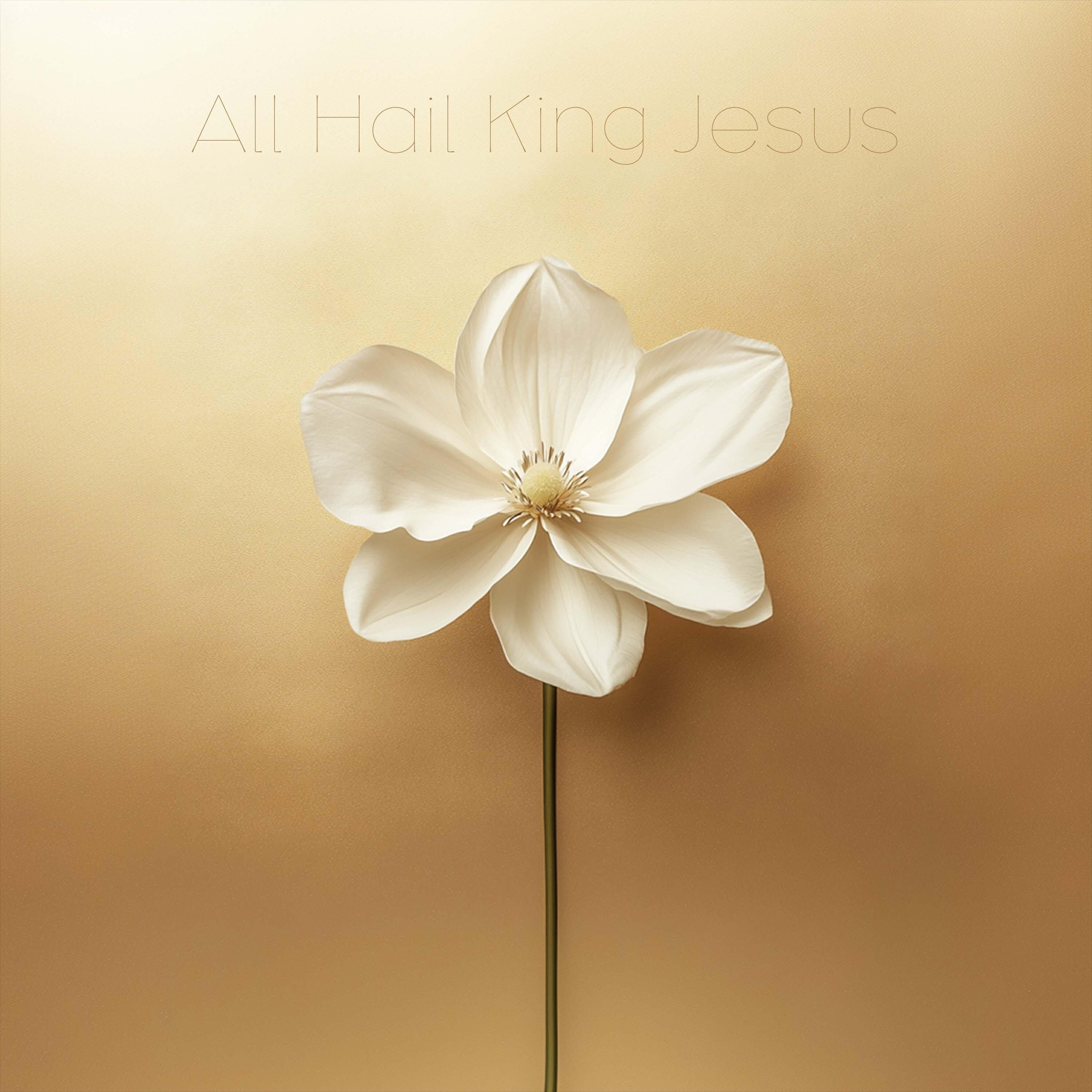 Релиз All Hail King Jesus