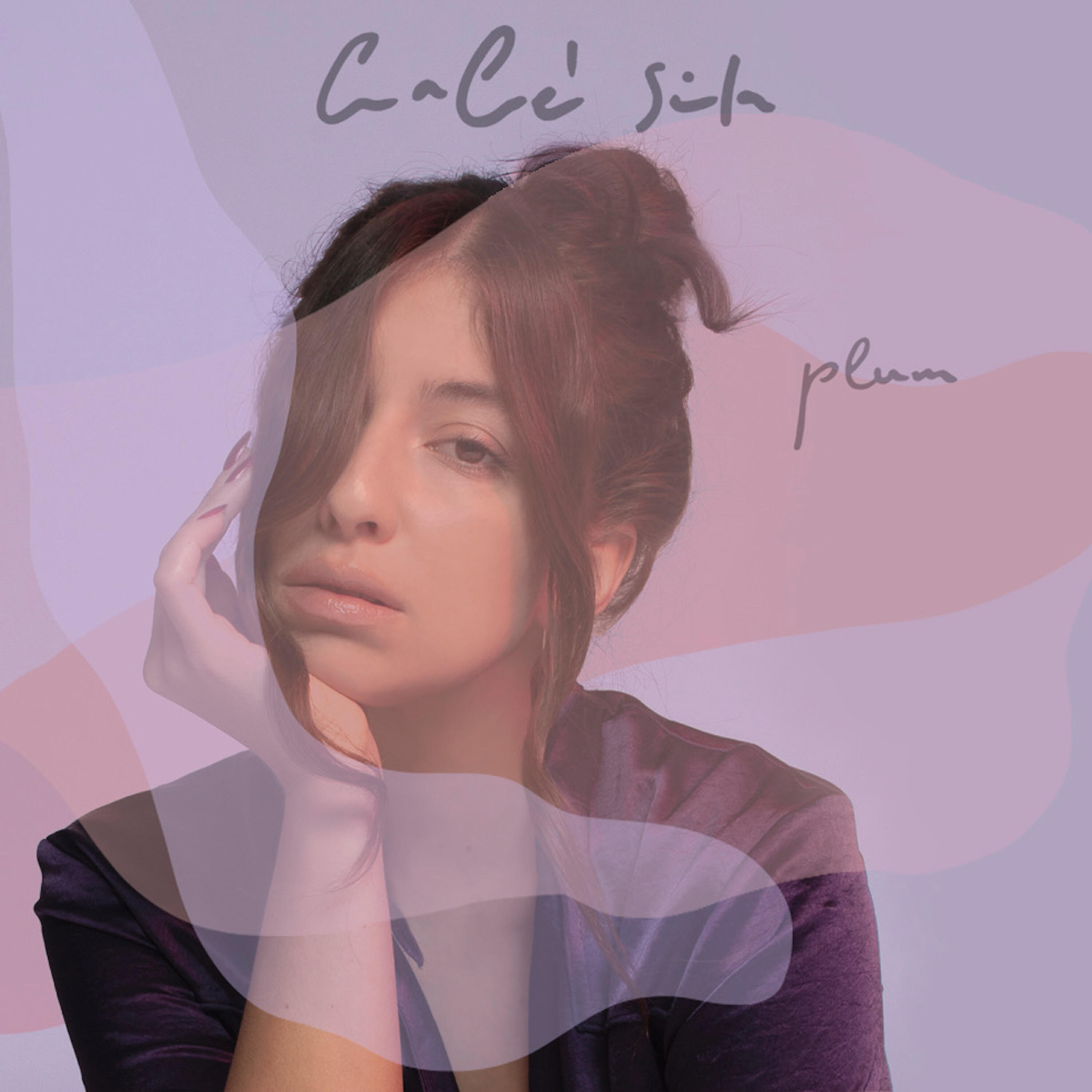 Релиз Plum