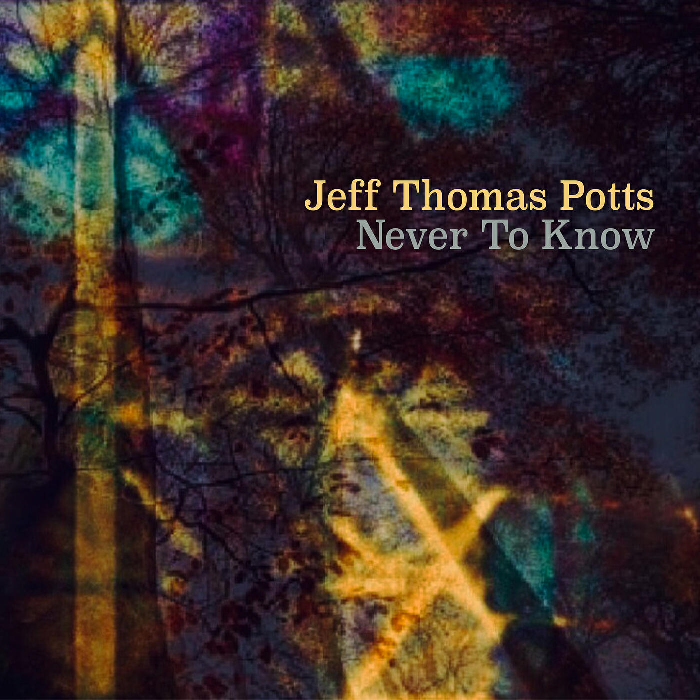 Jeff Thomas Potts