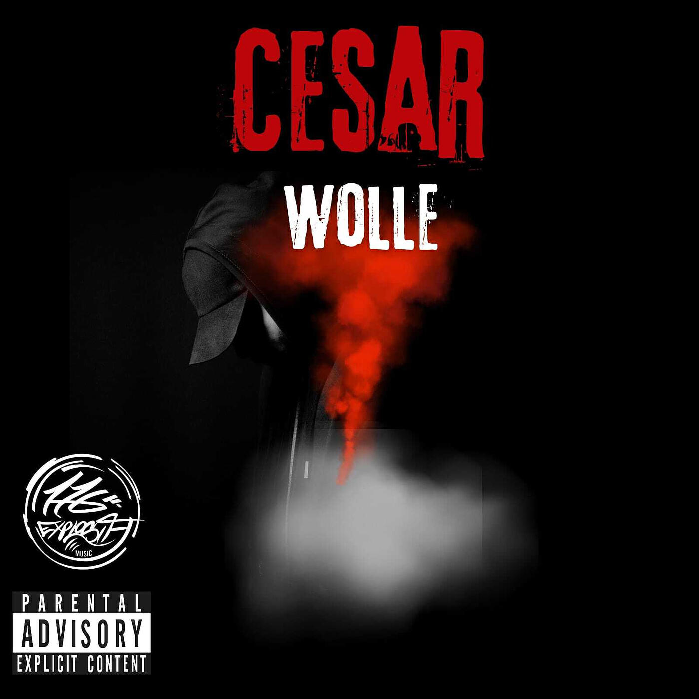 Релиз wolle