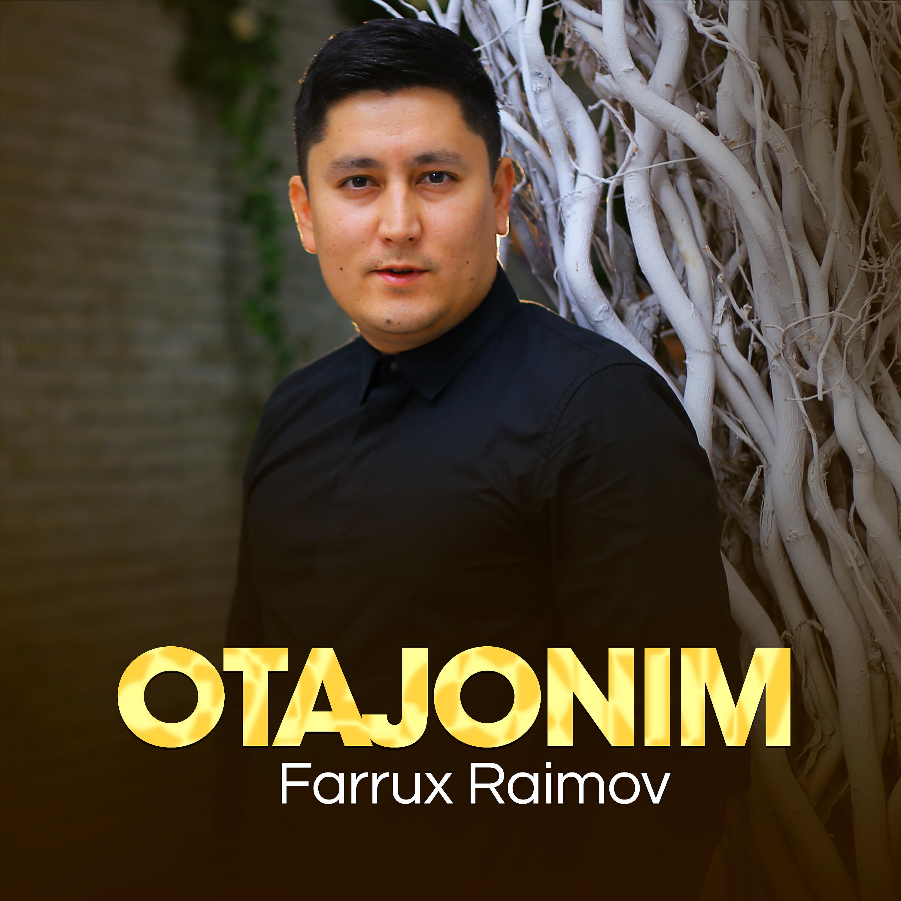 Постер альбома Otajonim