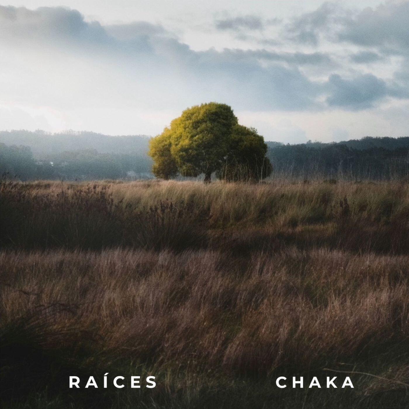 Релиз Raíces