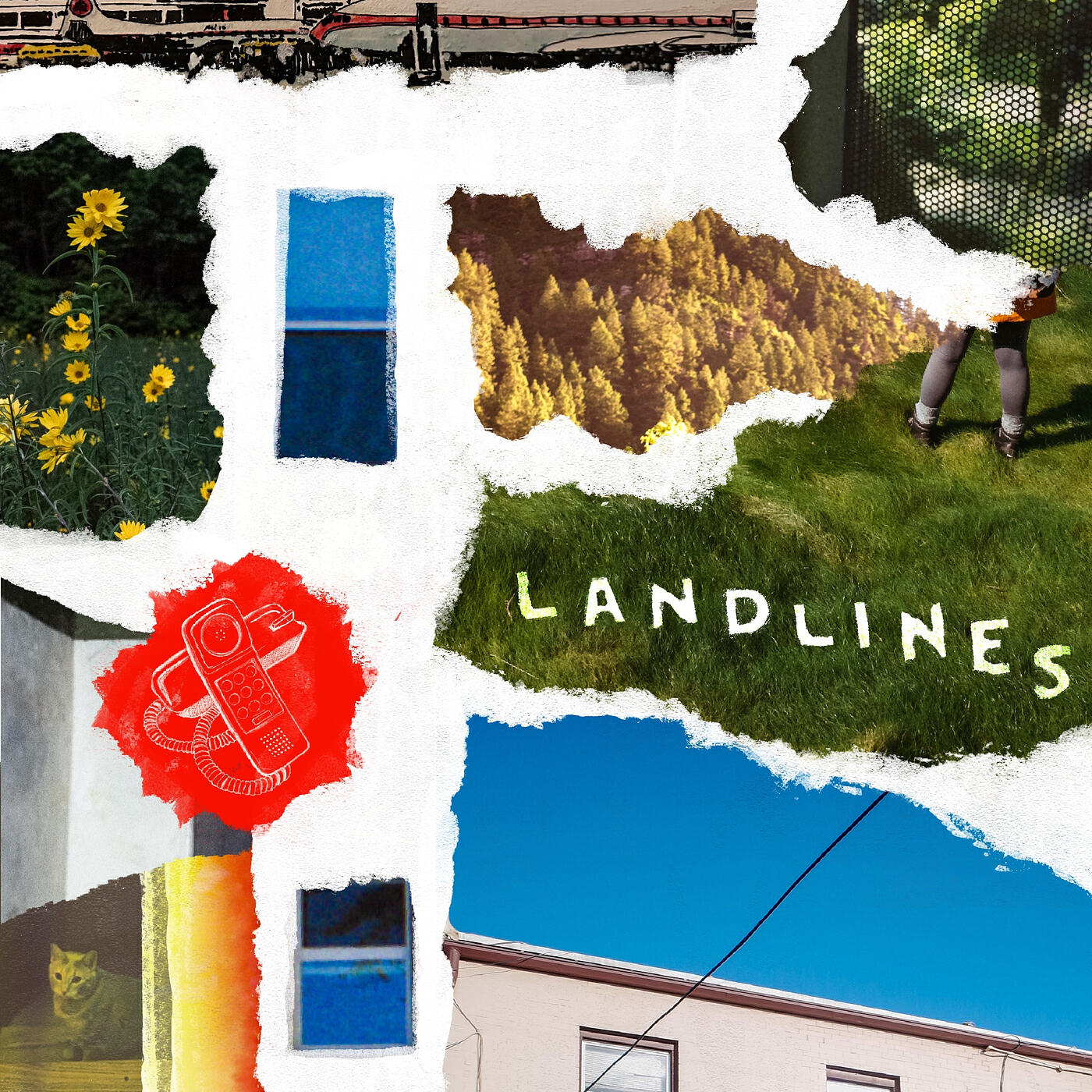 landlines