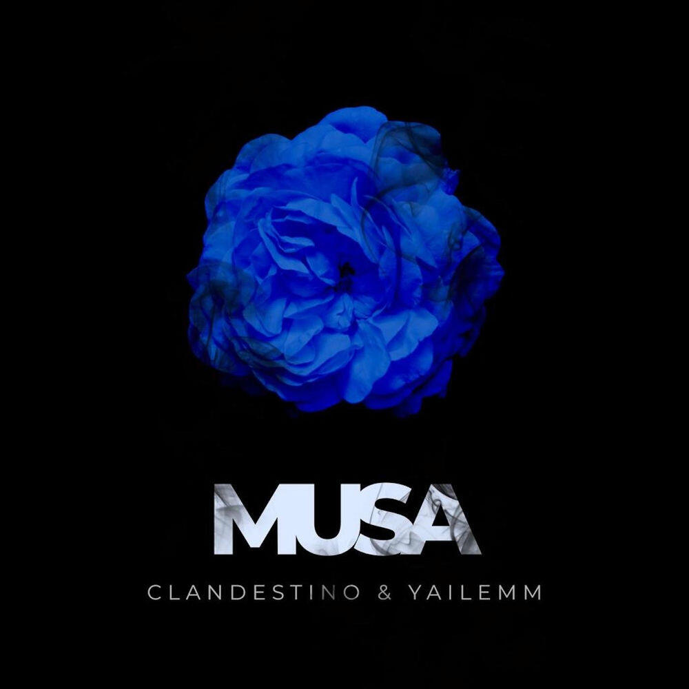 Релиз Musa