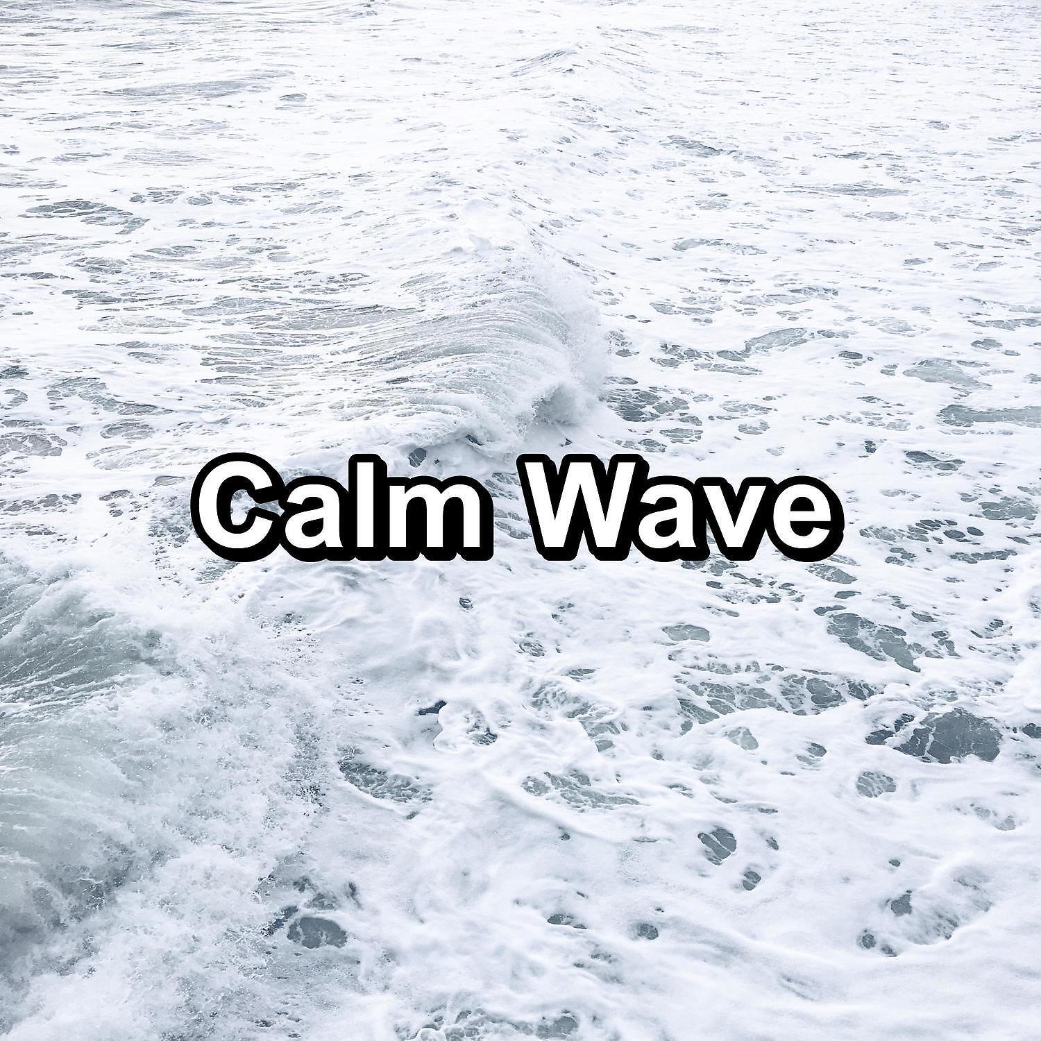Релиз Calm Wave