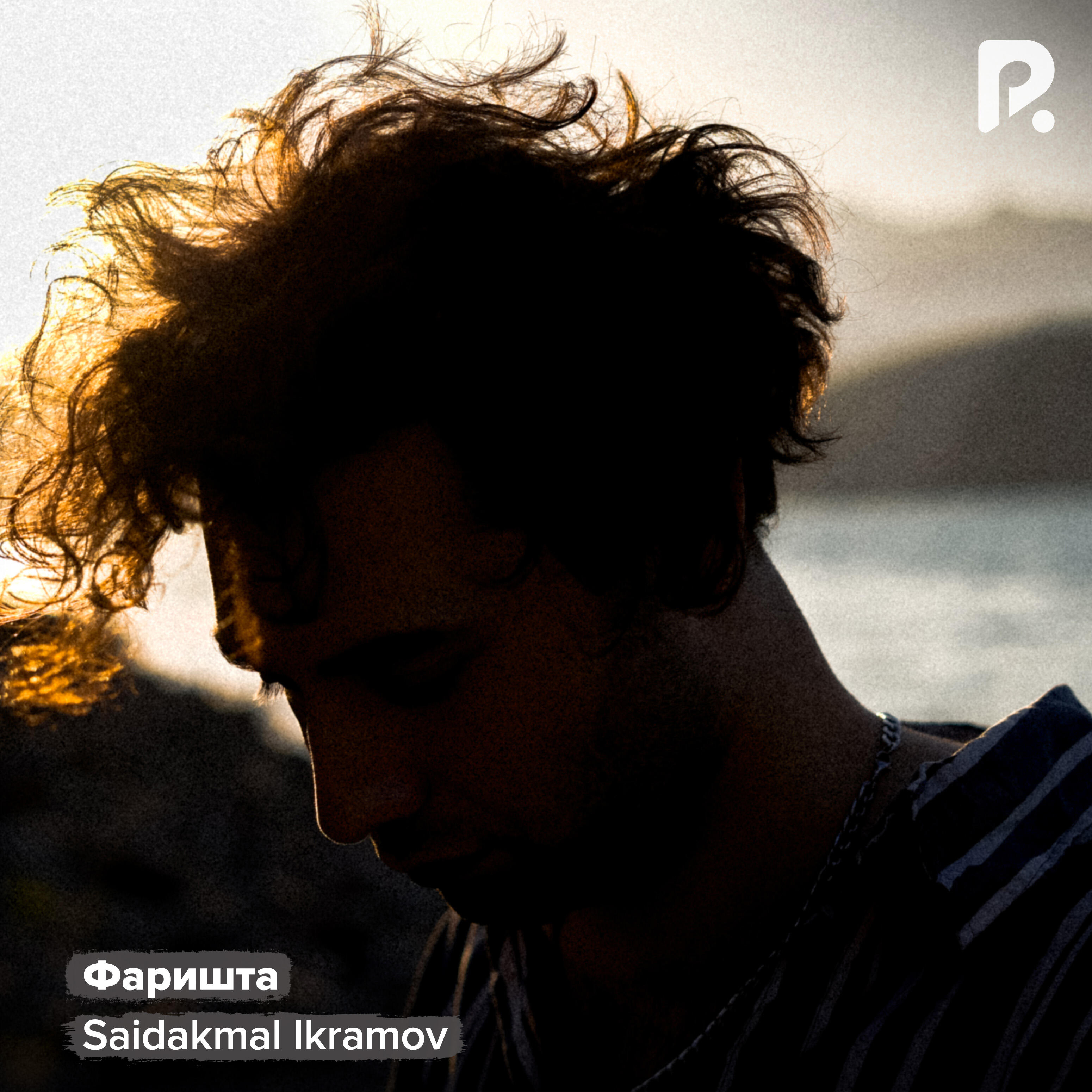 Постер альбома Фаришта