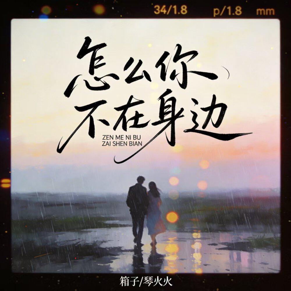 琴火火