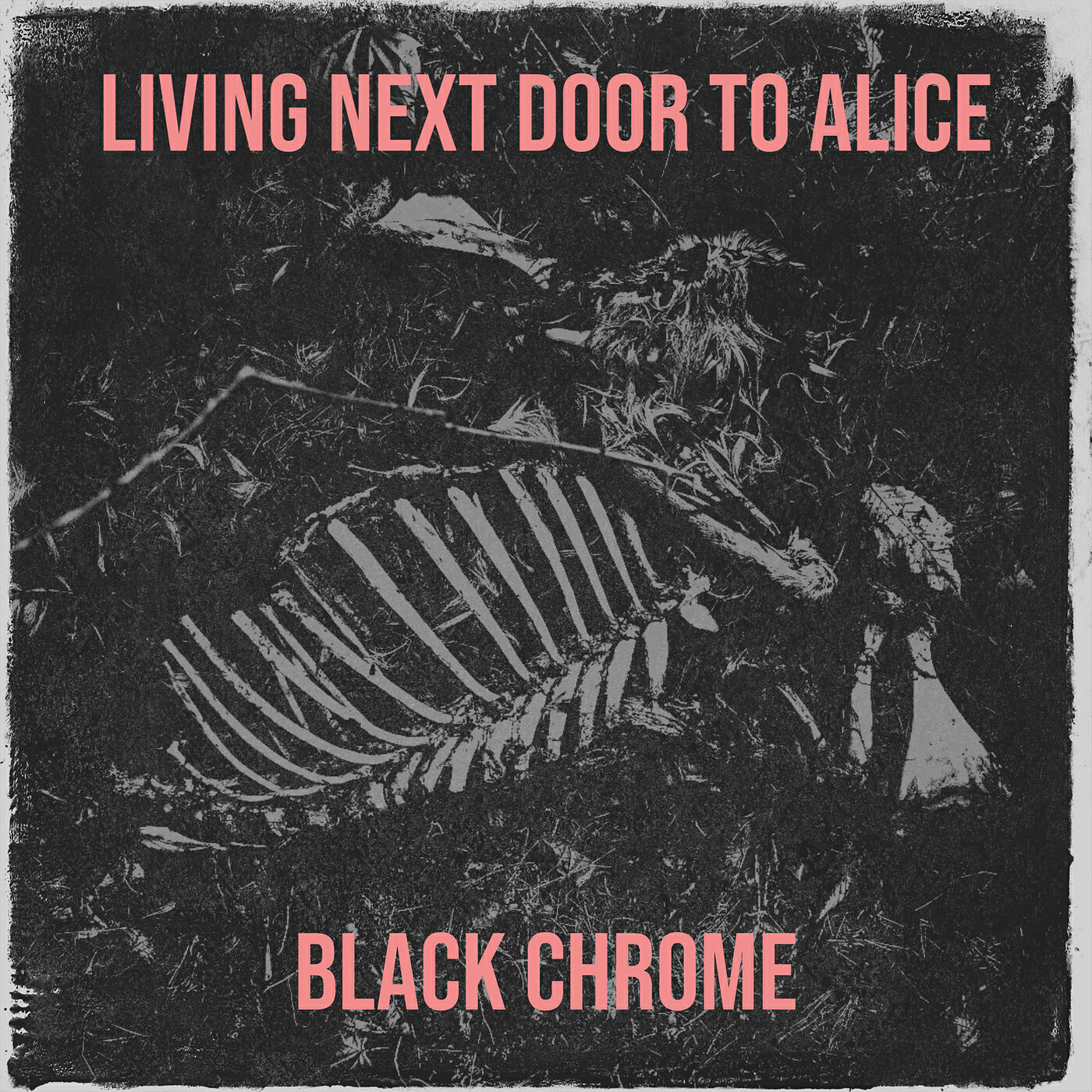 Релиз Living Next Door to Alice