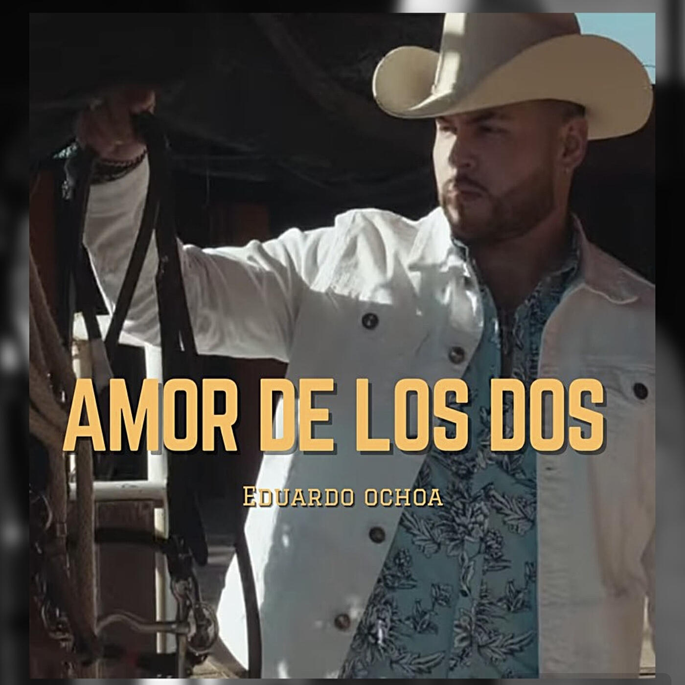Релиз Amor De Los Dos