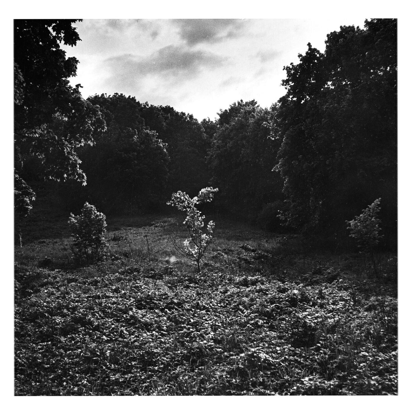 Релиз Самый