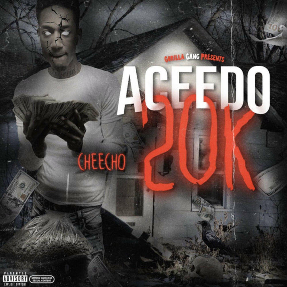 Релиз Aceedo 20k