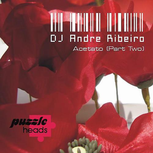 Скачать песню DJ Andre Ribeiro, Rafael Moura - 33RPM (Rafael Moura's Morning Mix) бесплатно в MP3 для Android и iOS