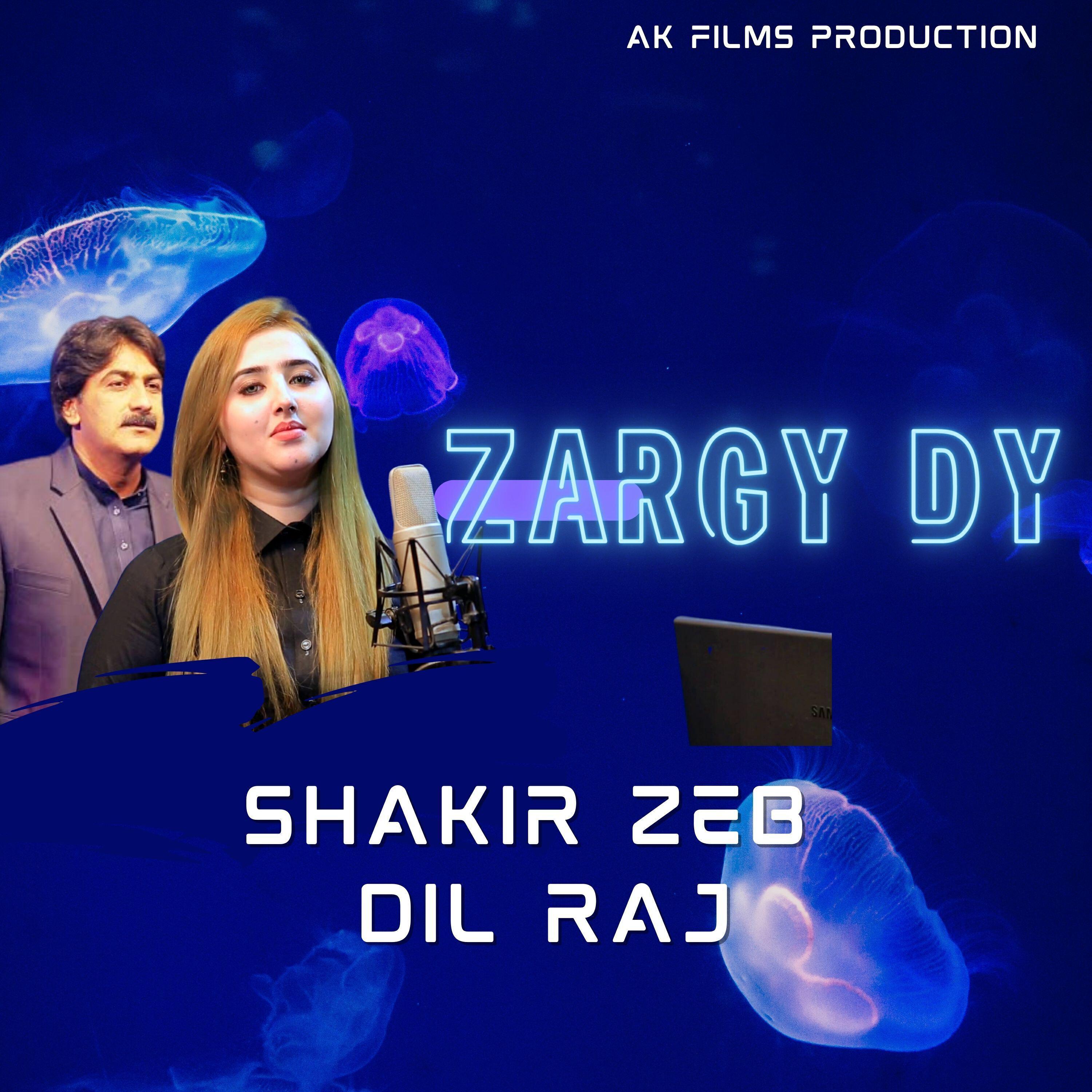 Shakir Zeb