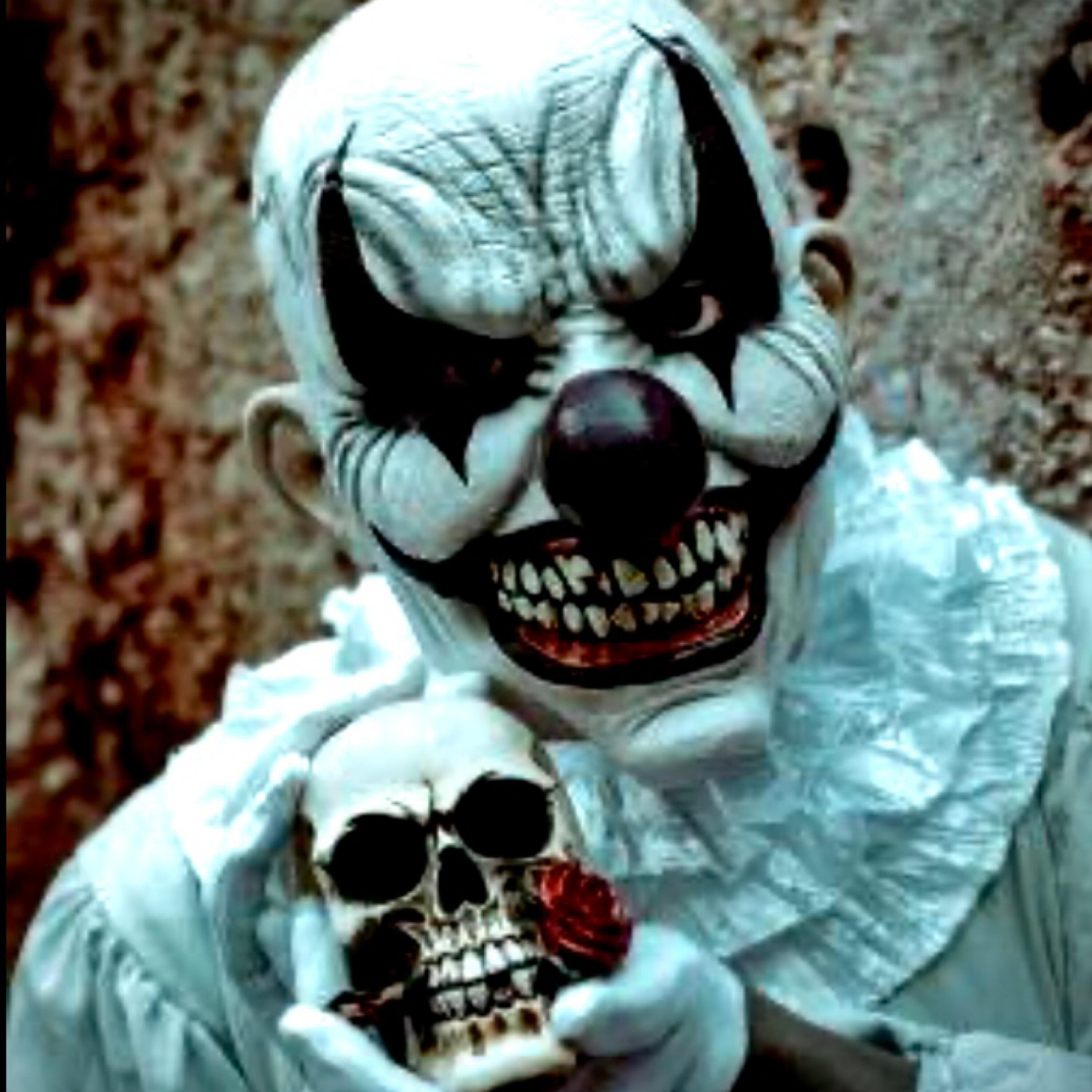 Релиз Medley 2025