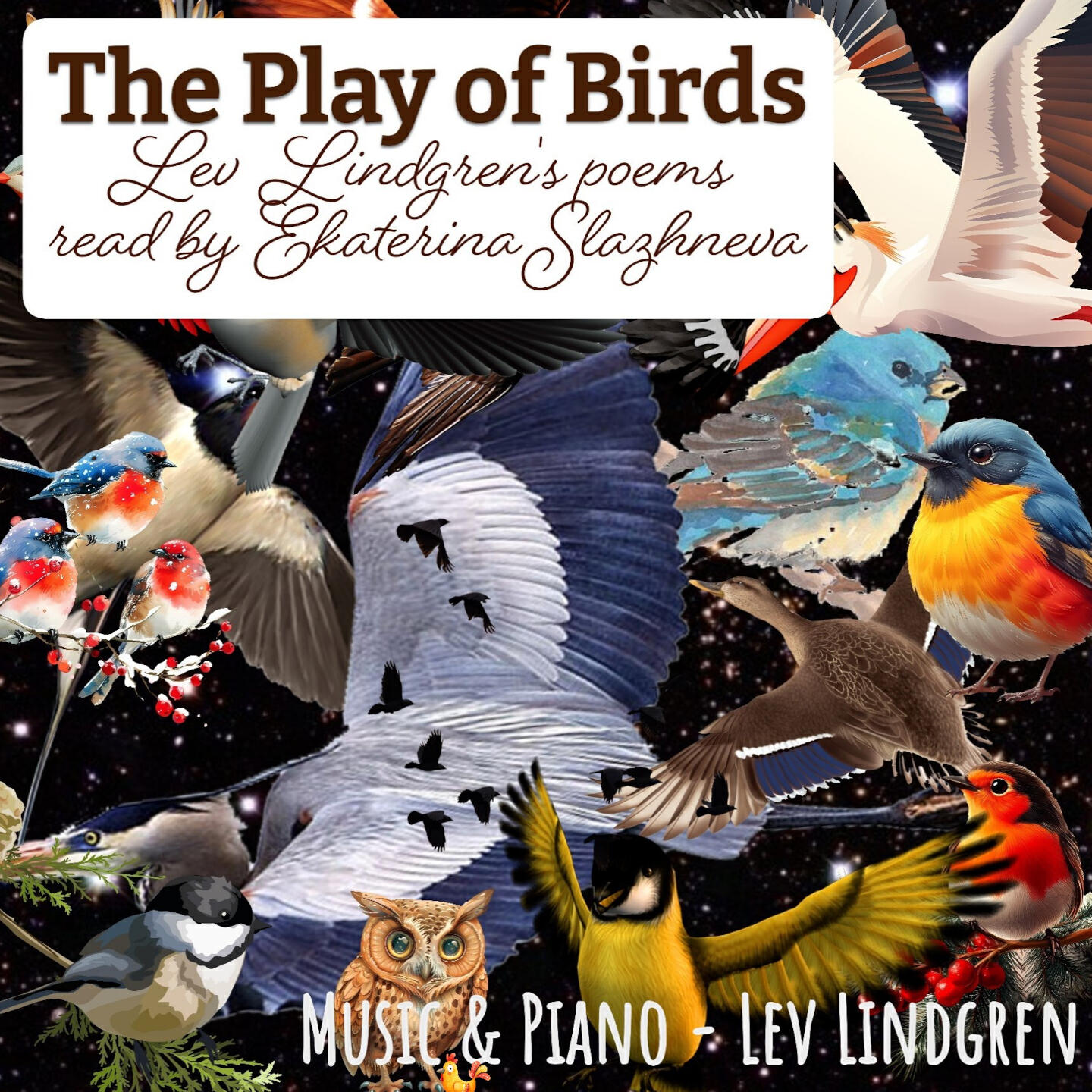 Релиз The Play of Birds