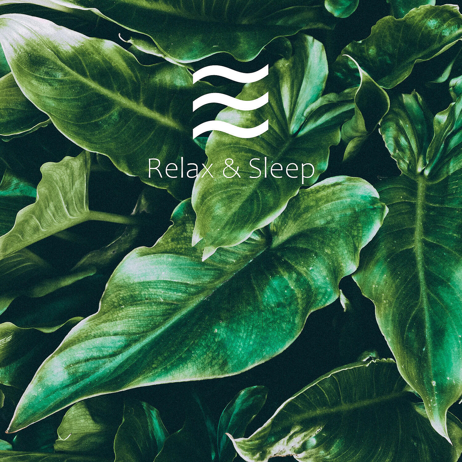 Релиз Calming and Loopable Music for Studying and Relaxation