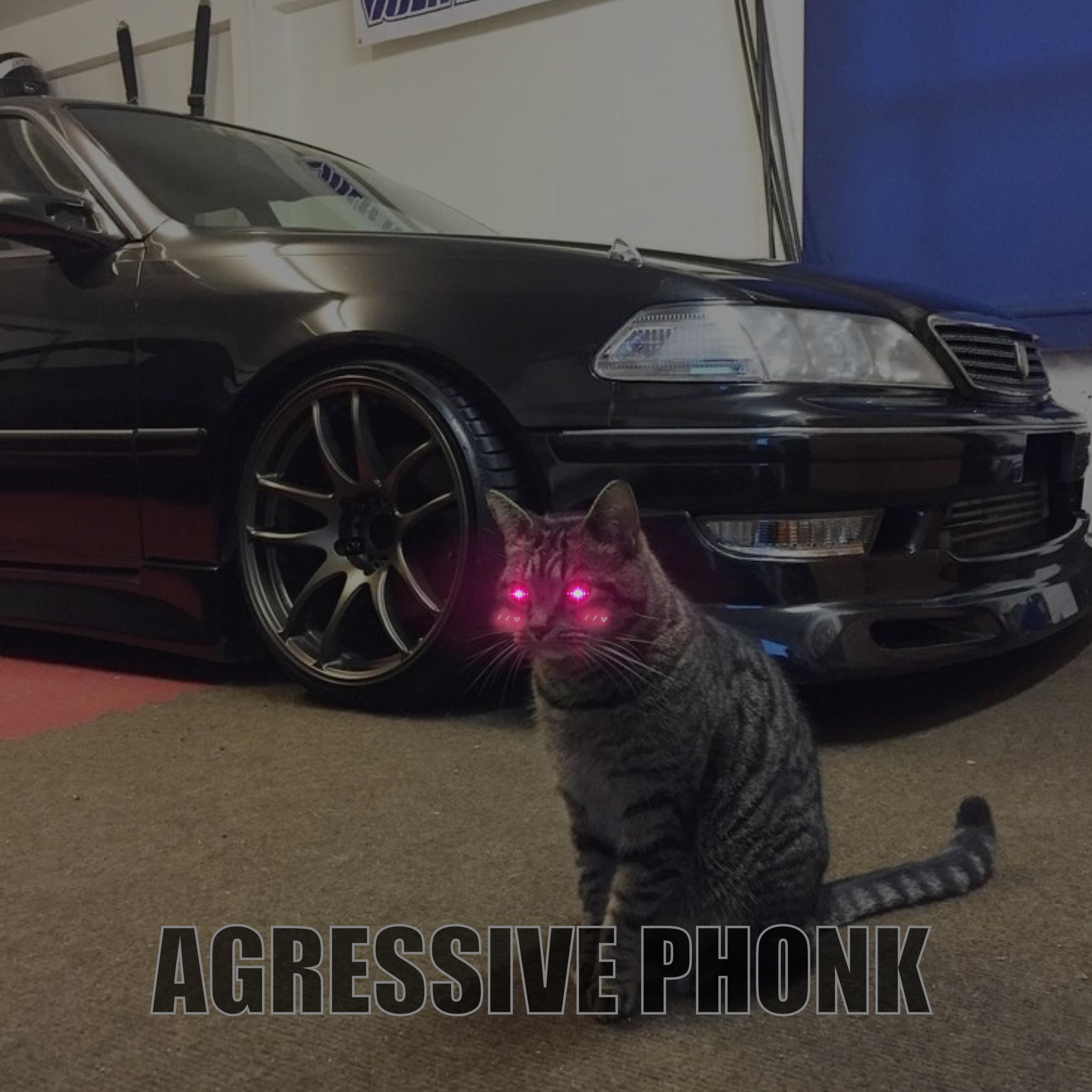 Релиз Agressive Phonk