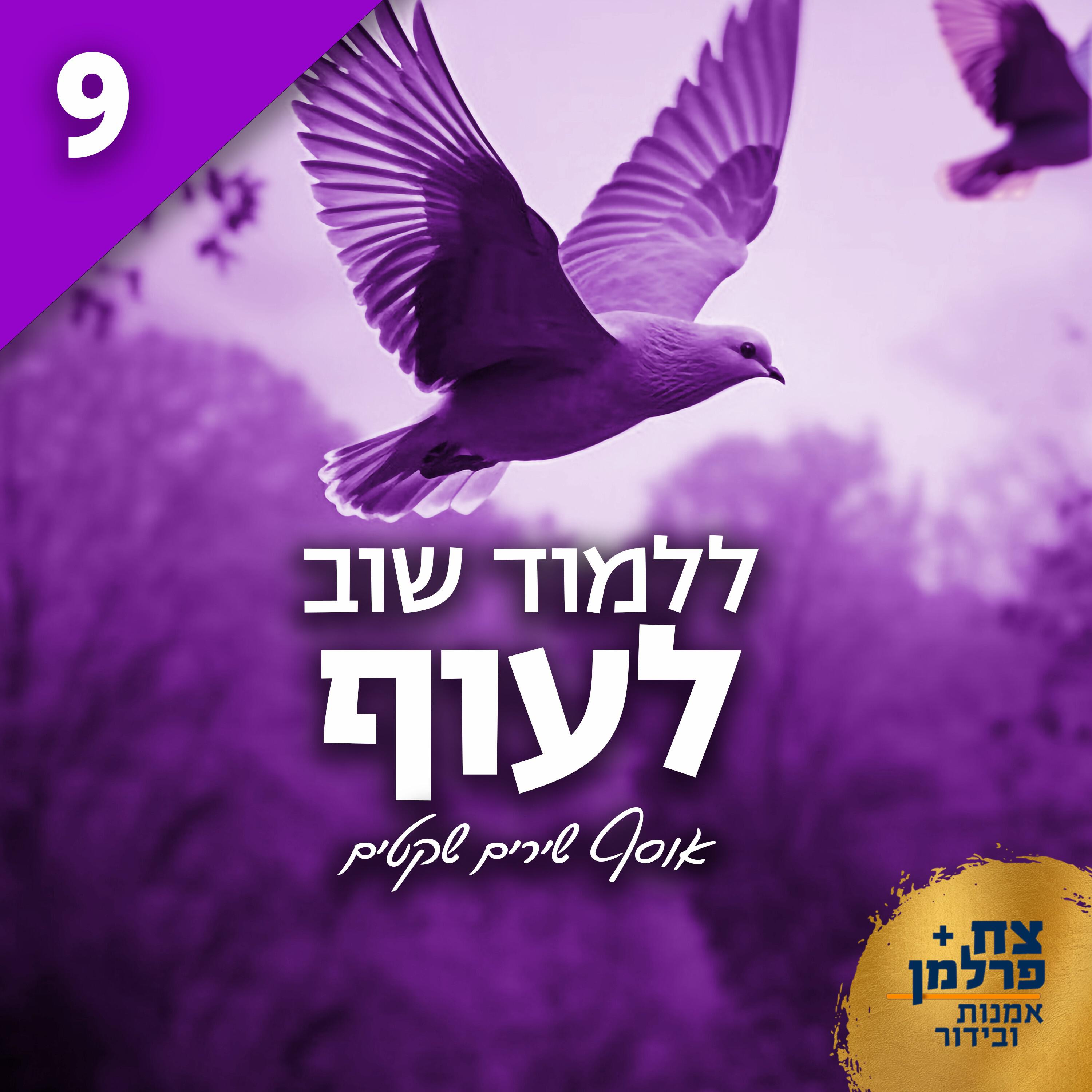Постер альбома ללמוד שוב לעוף 9
