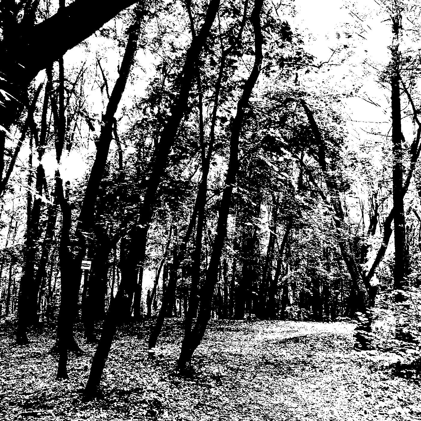 Релиз Red Lake