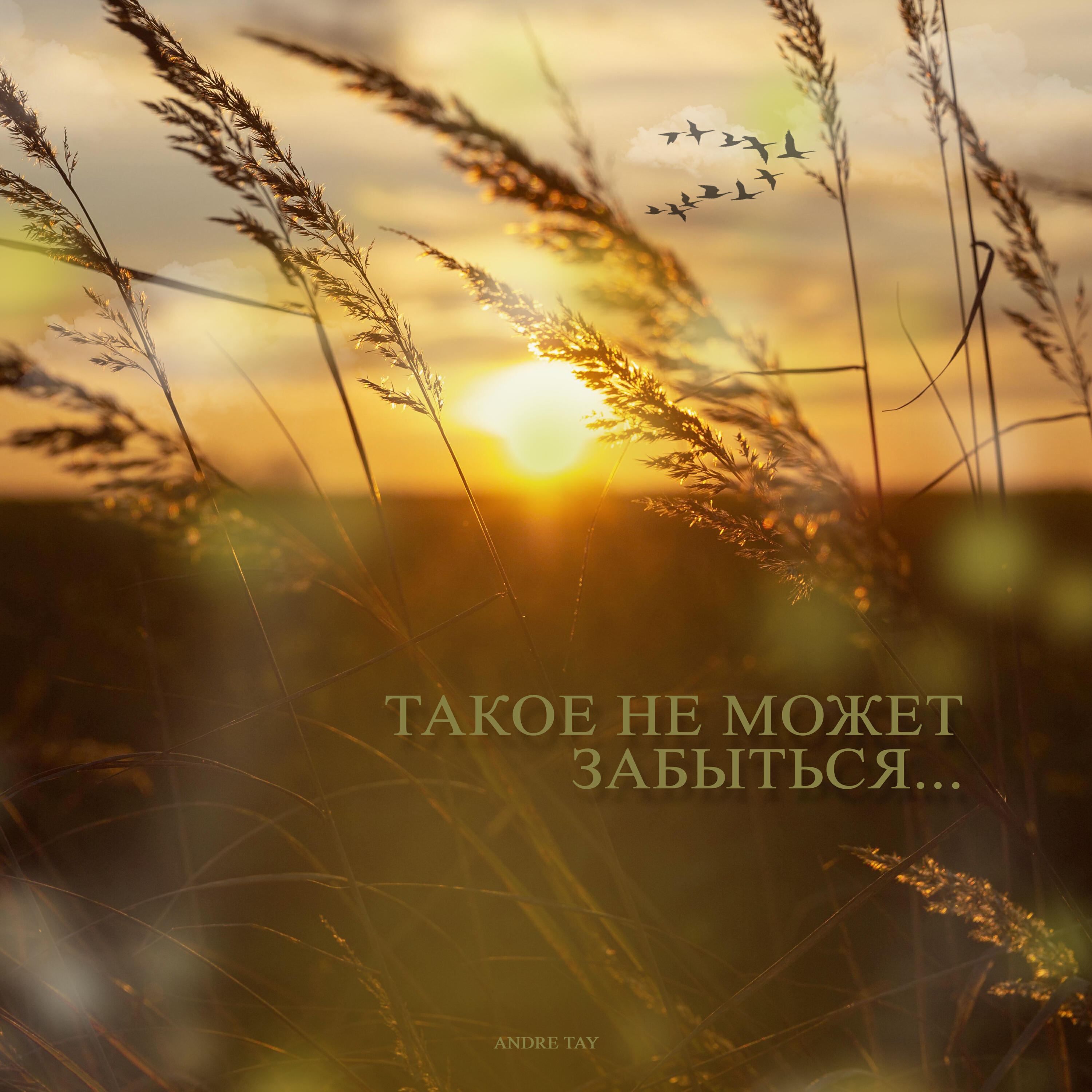Релиз Такое не может забыться