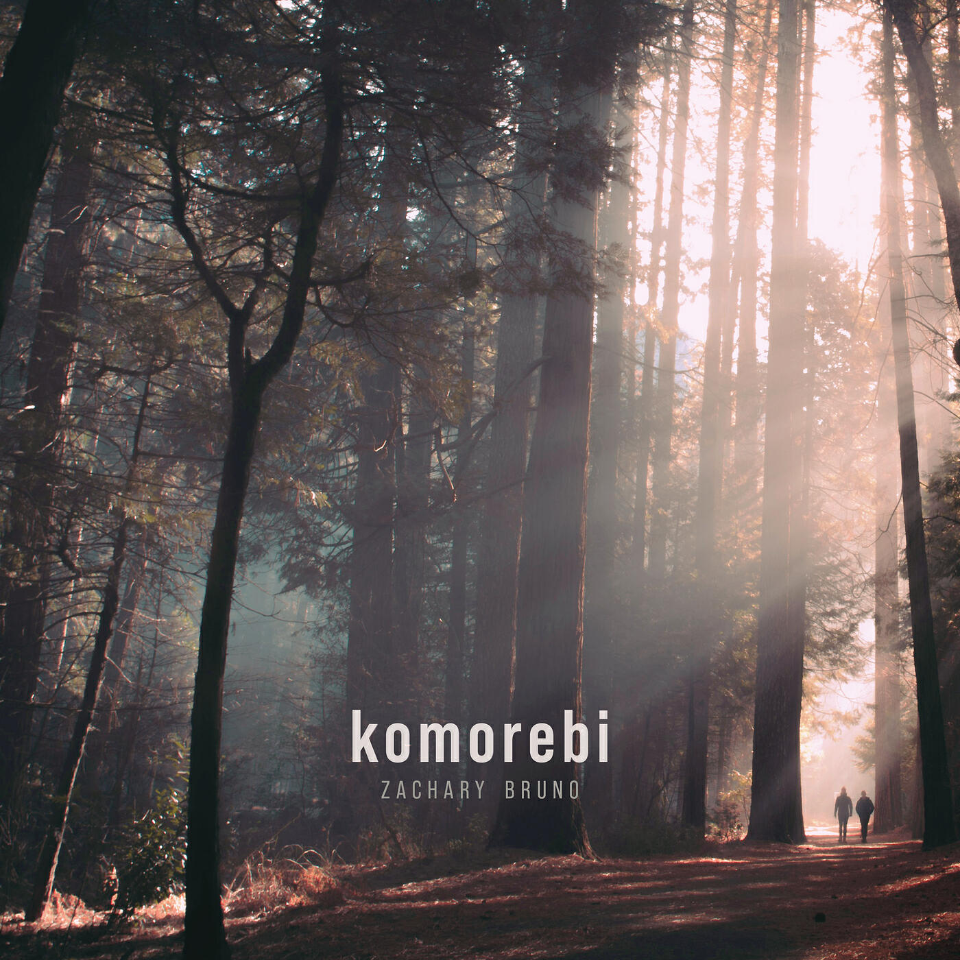 Релиз Komorebi