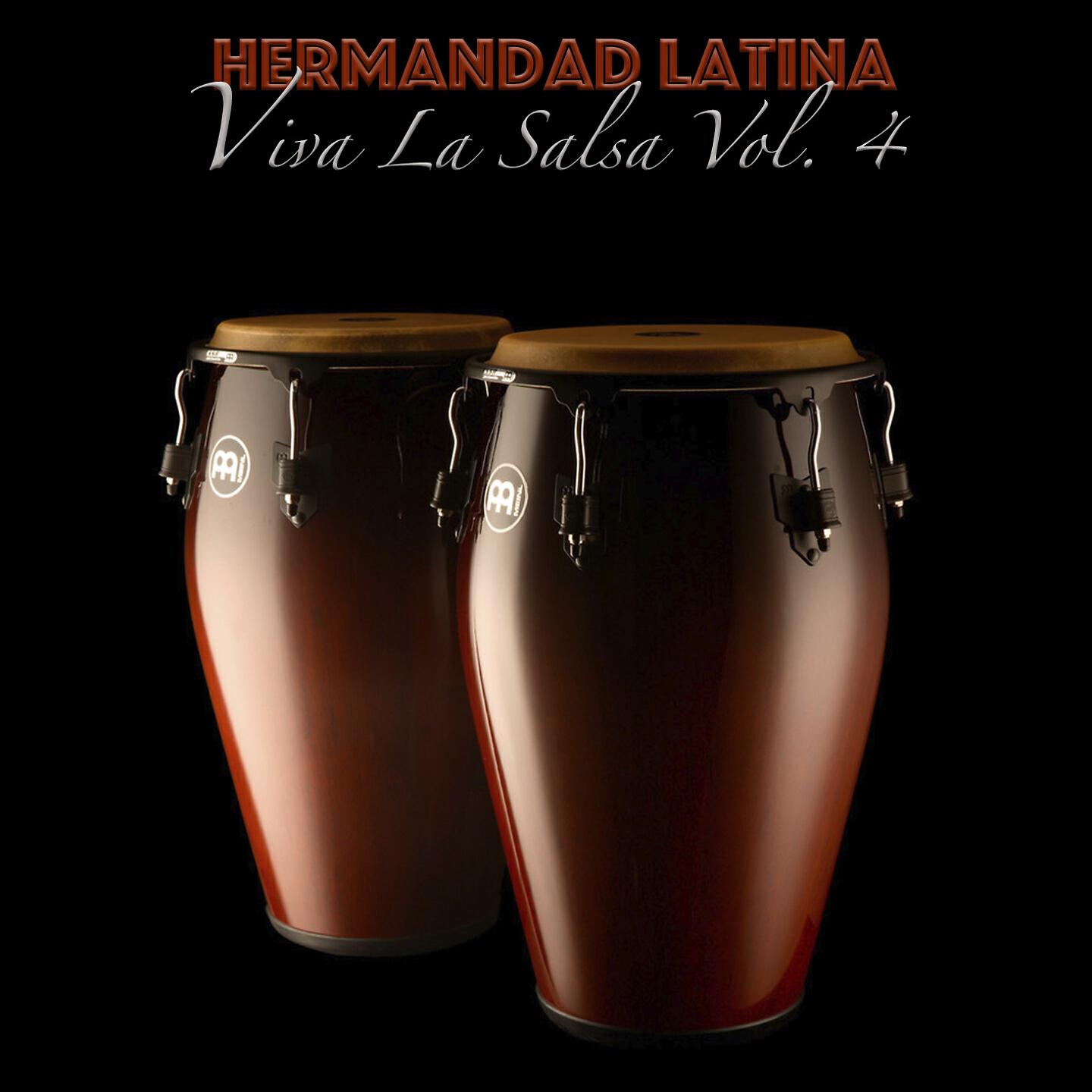 Релиз Viva la Salsa, Vol. 4